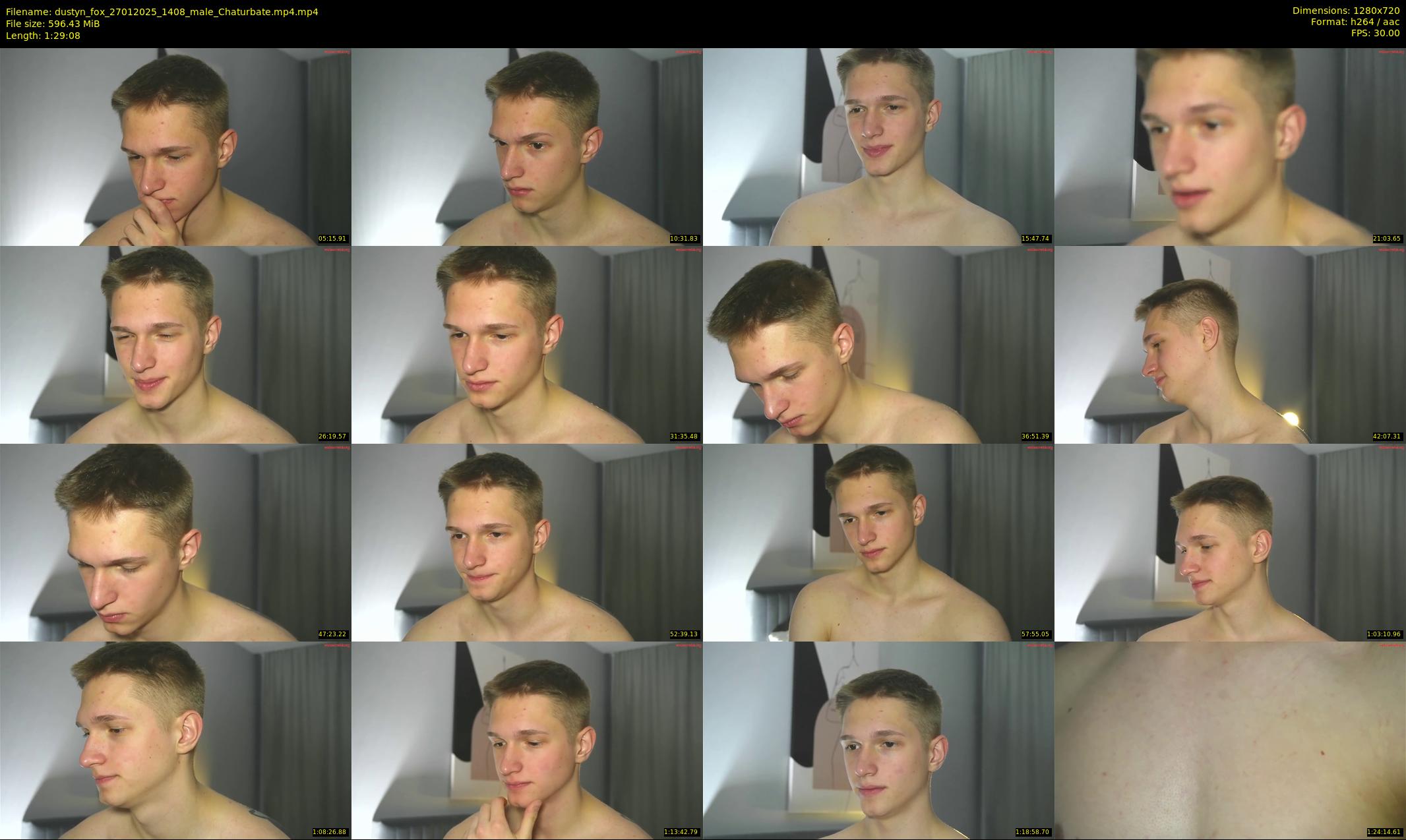 dustyn_fox — 90 minute Chaturbate male cam show recording, 720p, Jan 27, 2025