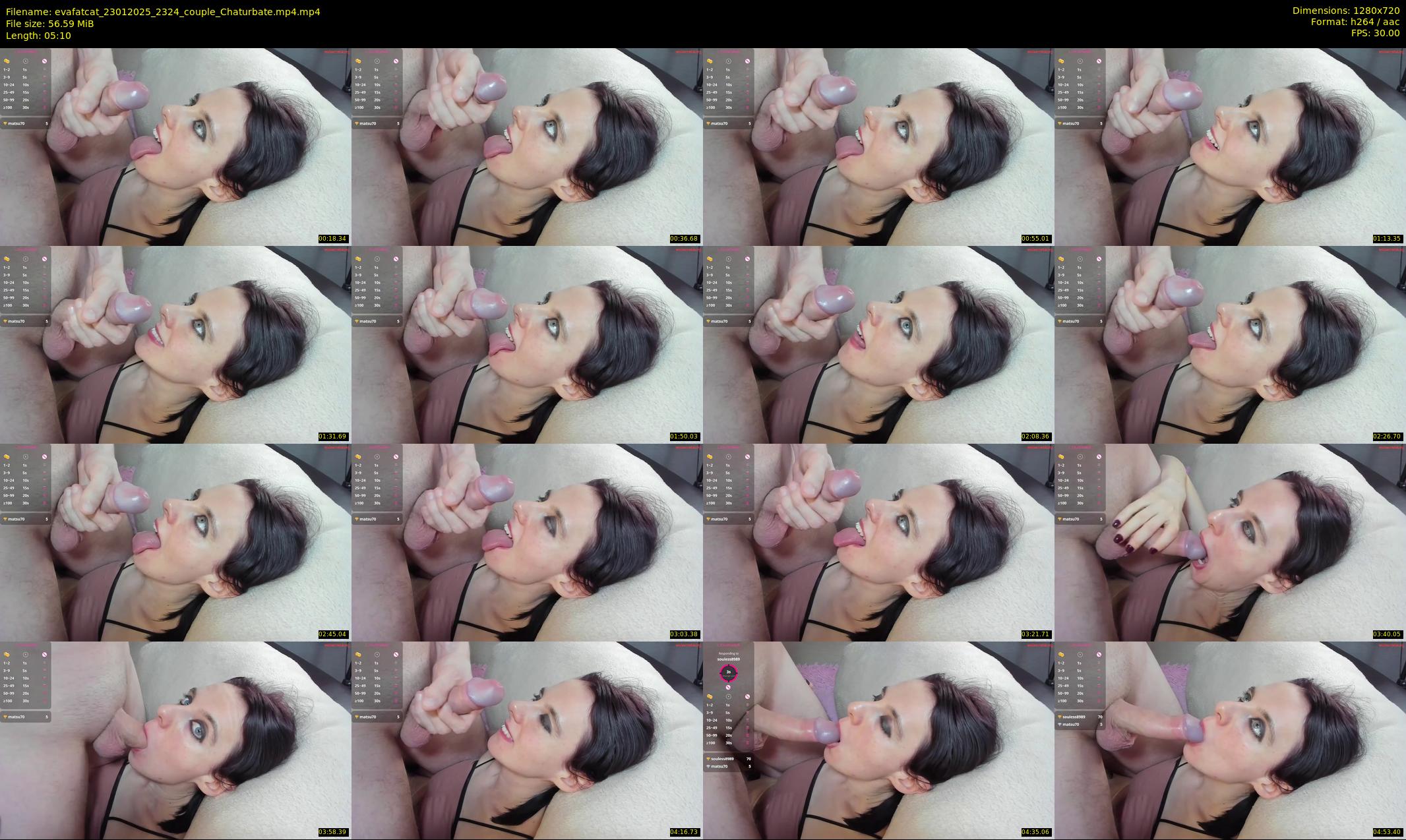 evafatcat — 6 minute Chaturbate couple cam show recording, 720p, Jan 23, 2025