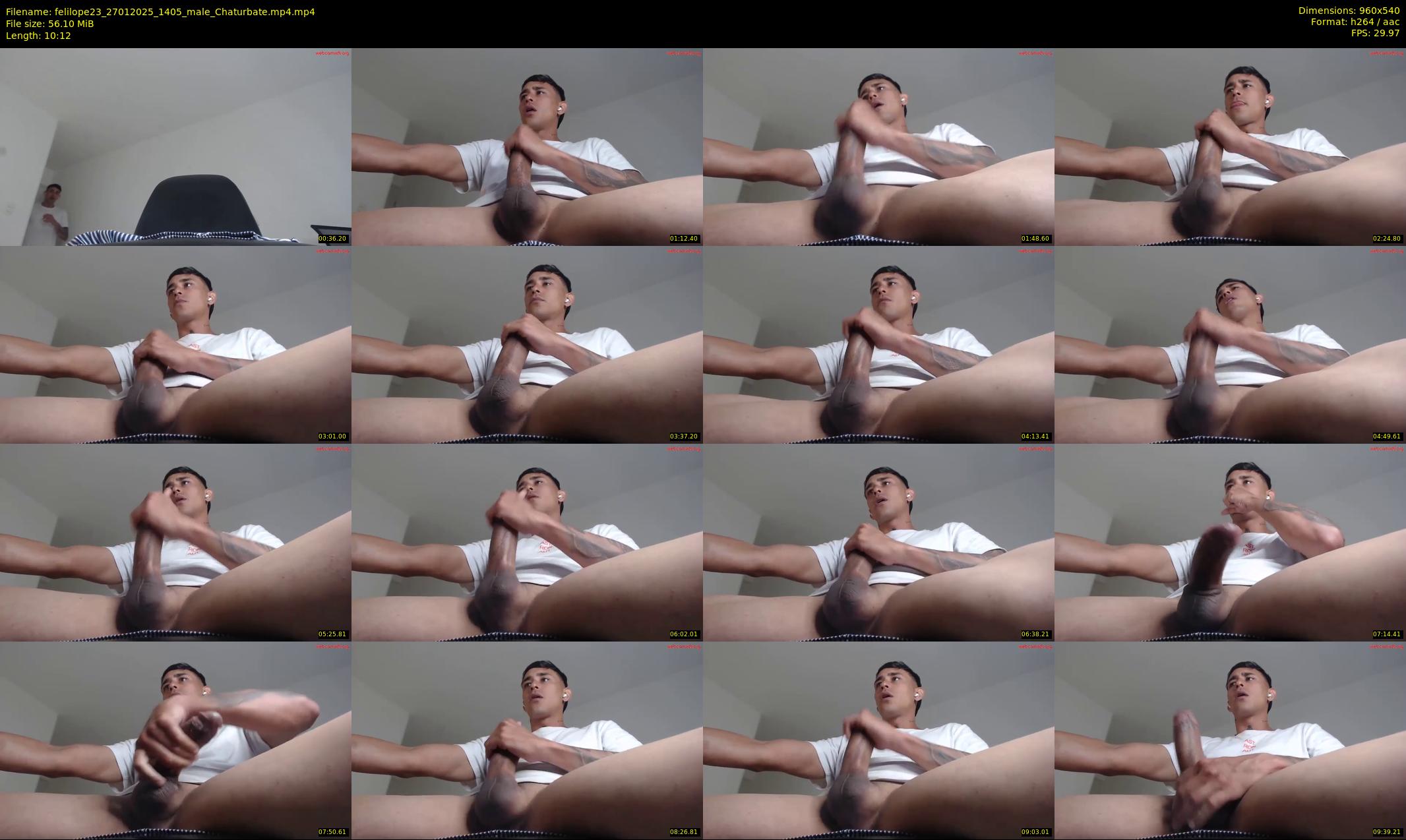 felilope23 — 11 minute Chaturbate male cam show recording, 480p, Jan 27, 2025