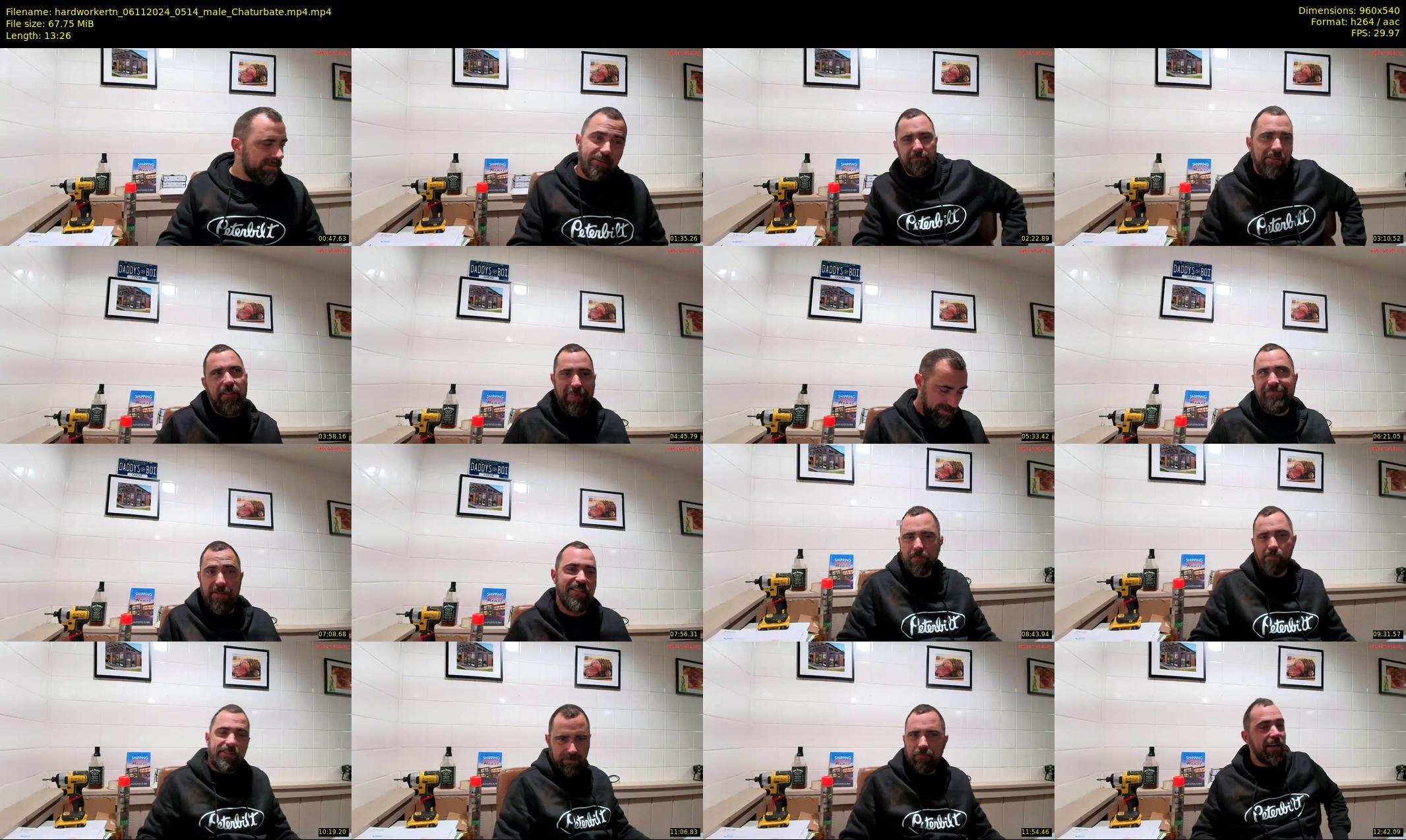hardworkertn — 14 minute Chaturbate male cam show recording, 480p, Nov 6, 2024