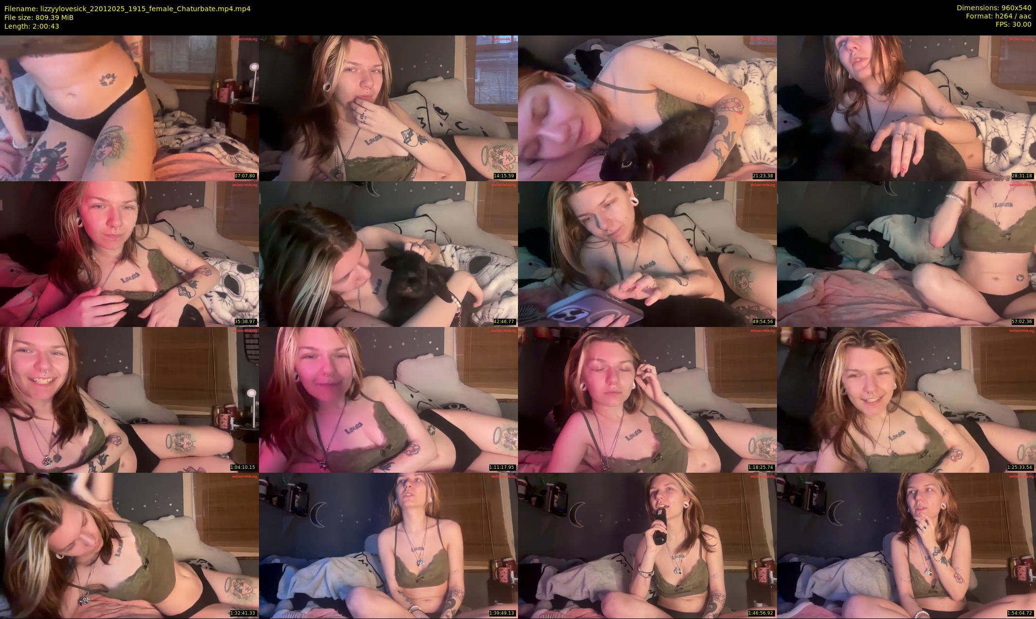 lizzyylovesick — 121 minute Chaturbate female cam show recording, 480p, Jan 22, 2025