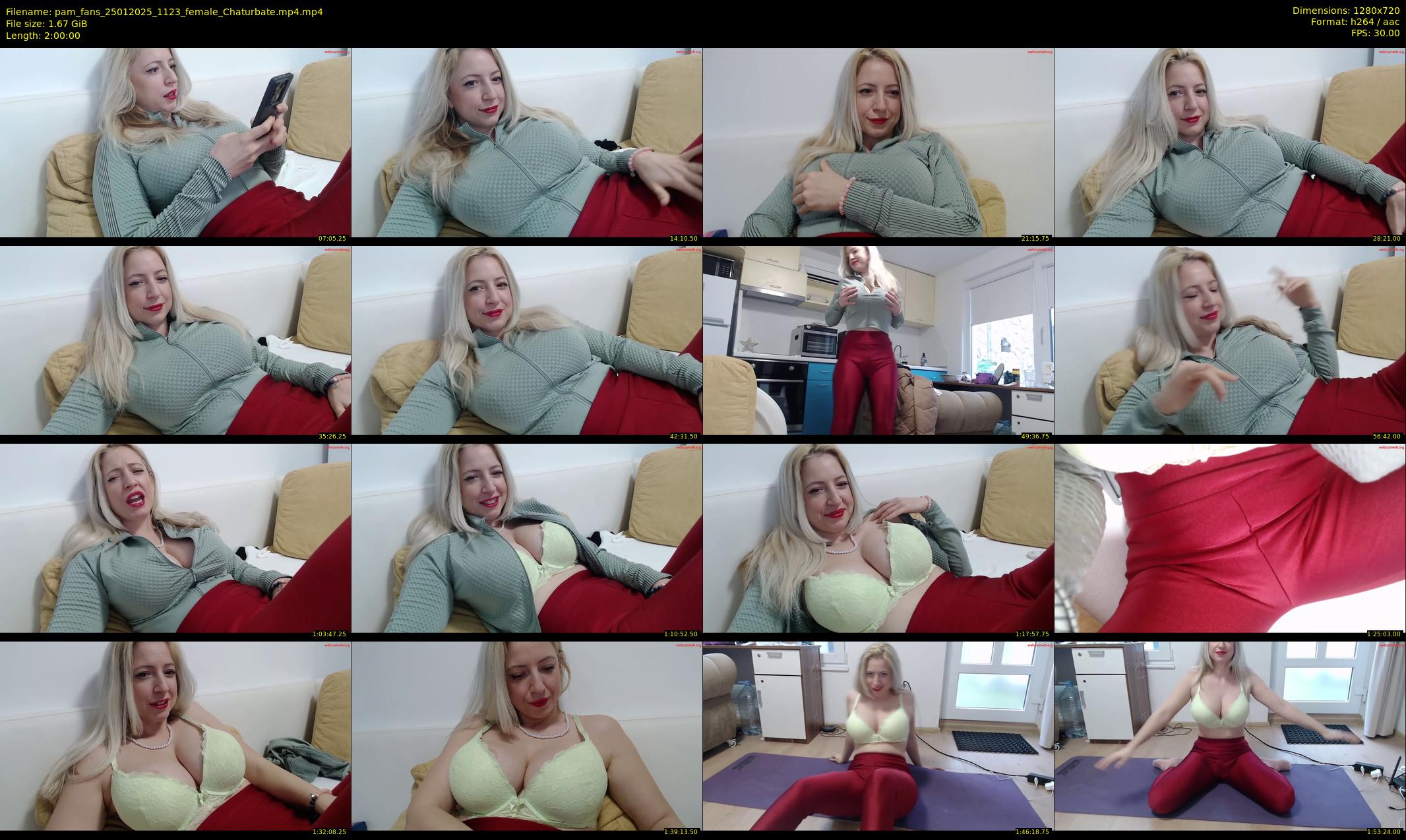 pam_fans — 120 minute Chaturbate female cam show recording, 720p, Jan 25, 2025