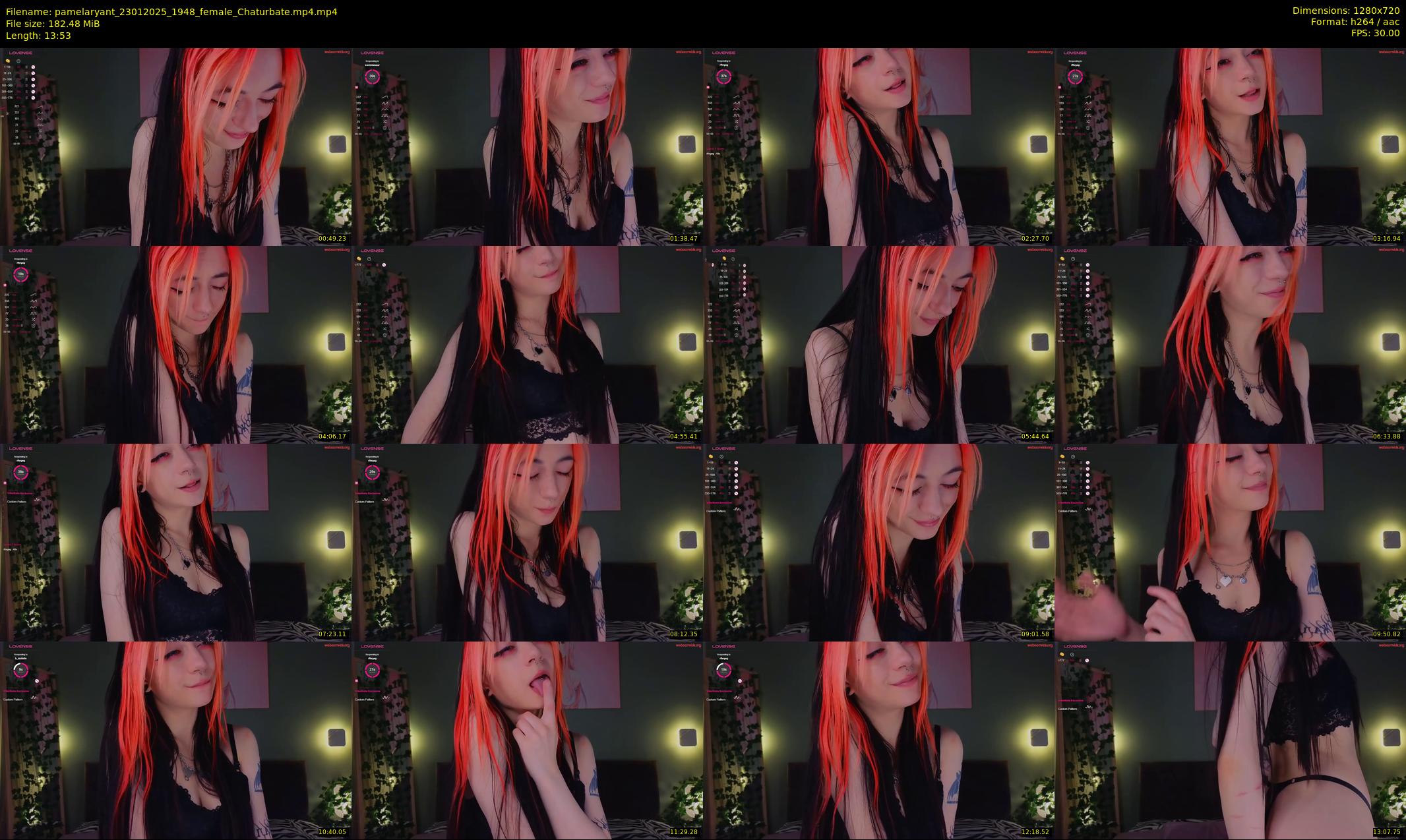 pamelaryant — 14 minute Chaturbate female cam show recording, 720p, Jan 23, 2025