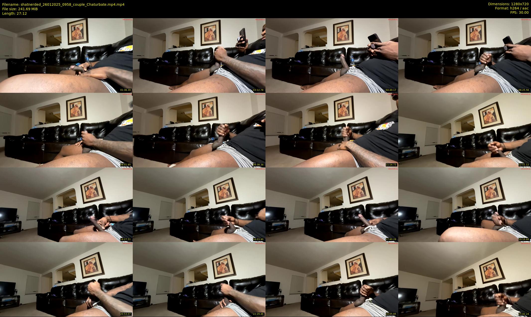 shatnerded — 28 minute Chaturbate couple cam show recording, 720p, Jan 26, 2025