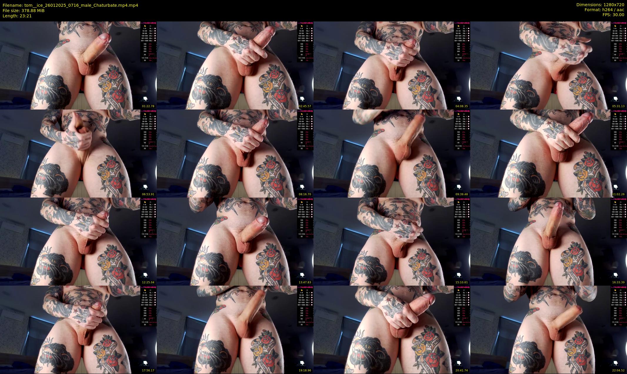 tom__ice — 24 minute Chaturbate male cam show recording, 720p, Jan 26, 2025