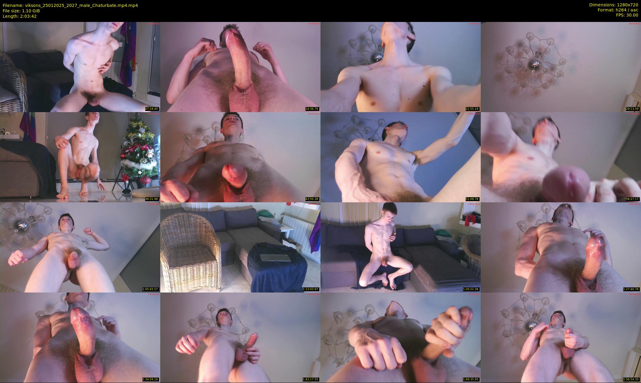 viksons — 124 minute Chaturbate male cam show recording, 720p, Jan 25, 2025