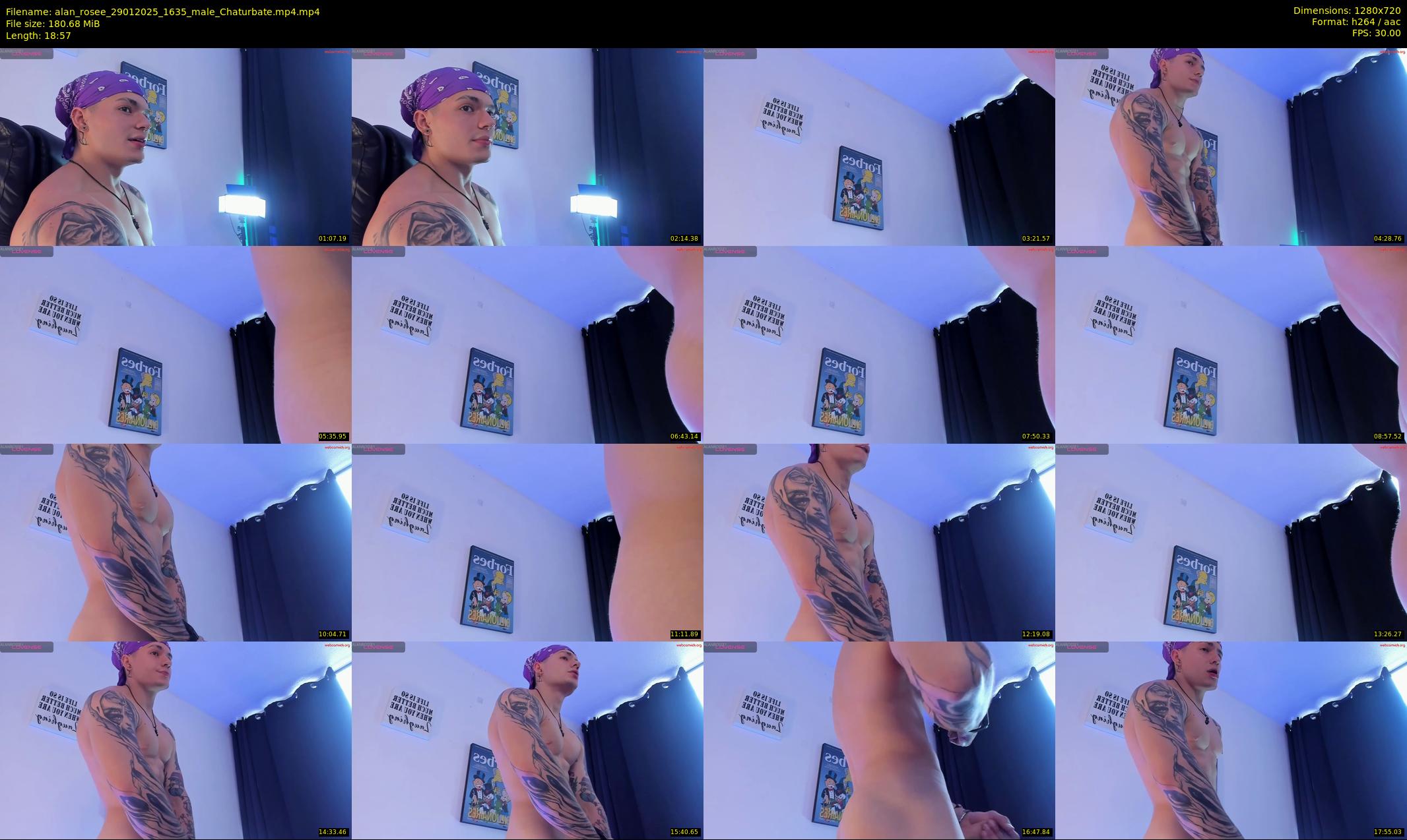 alan_rosee — 19 minute Chaturbate male cam show recording, 720p, Jan 29, 2025