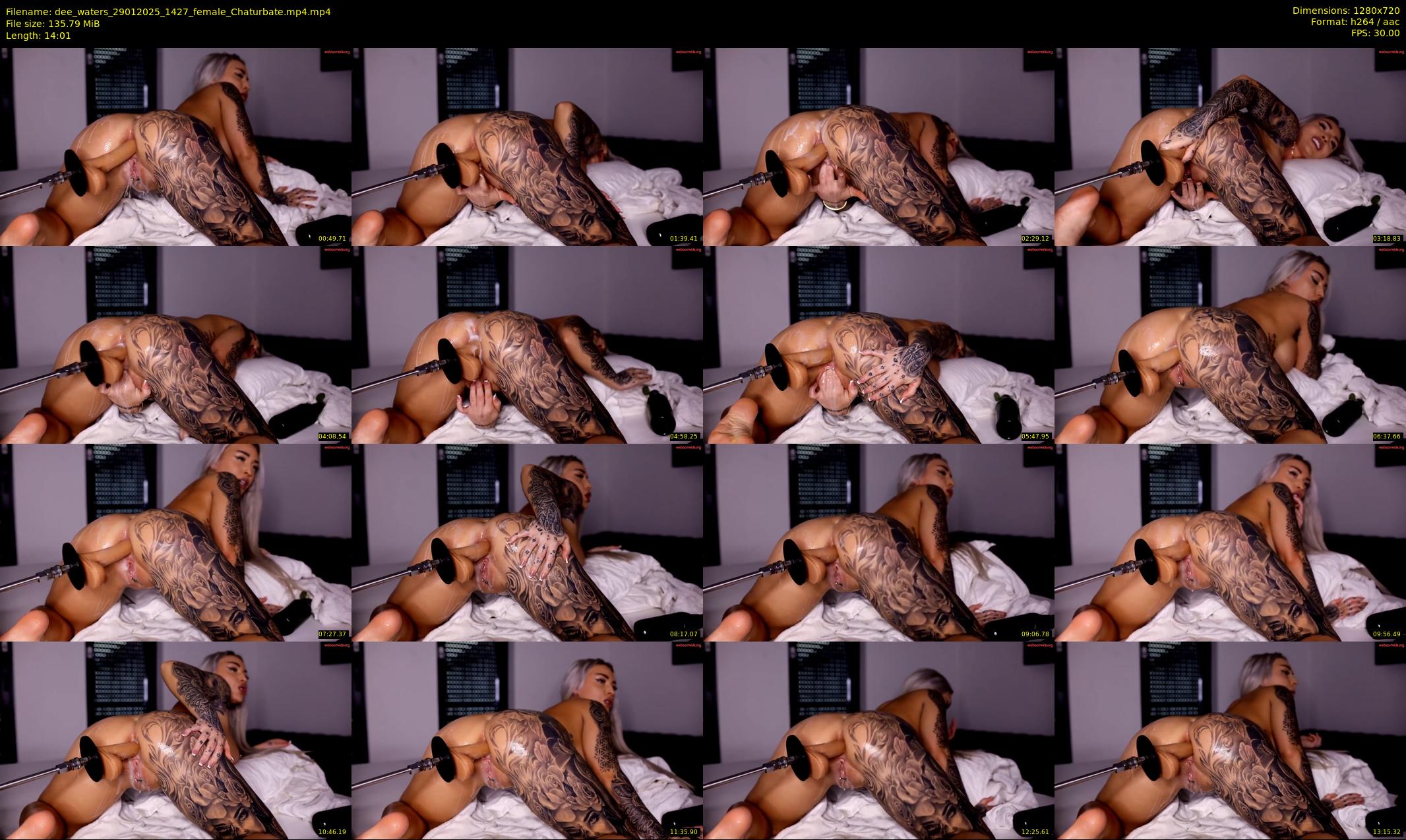 dee_waters — 15 minute Chaturbate female cam show recording, 720p, Jan 29, 2025