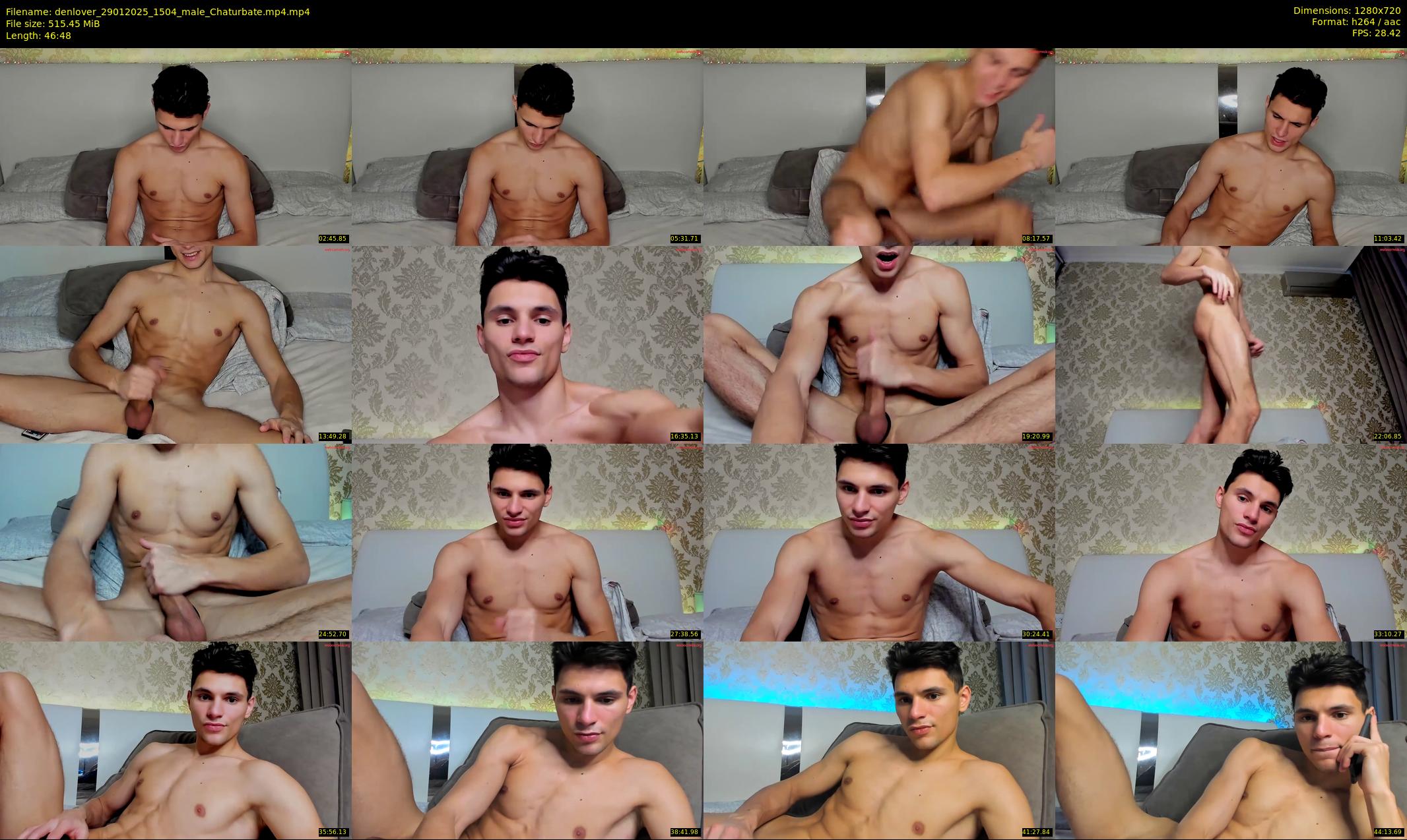 denlover — 47 minute Chaturbate male cam show recording, 720p, Jan 29, 2025