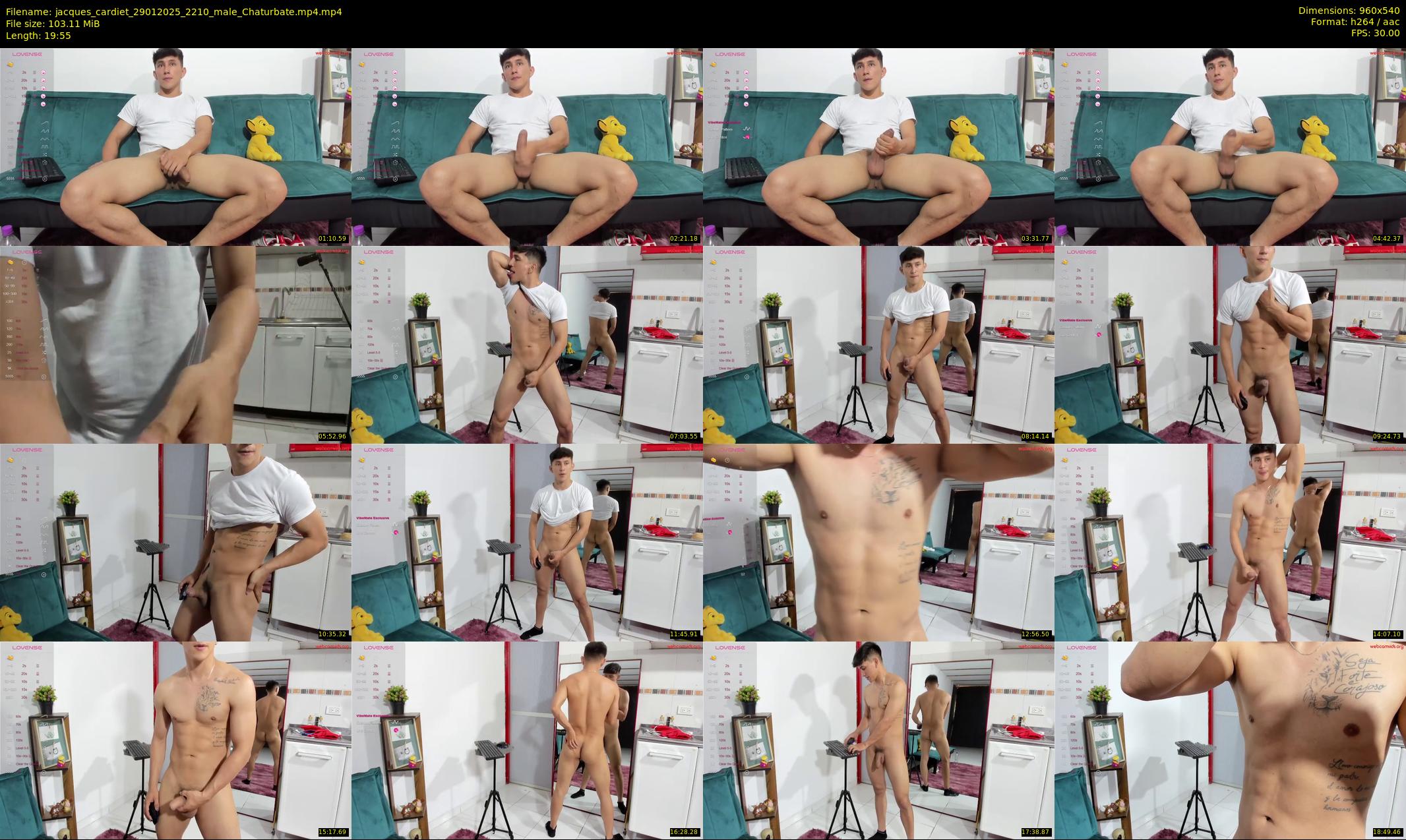 jacques_cardiet — 20 minute Chaturbate male cam show recording, 480p, Jan 29, 2025