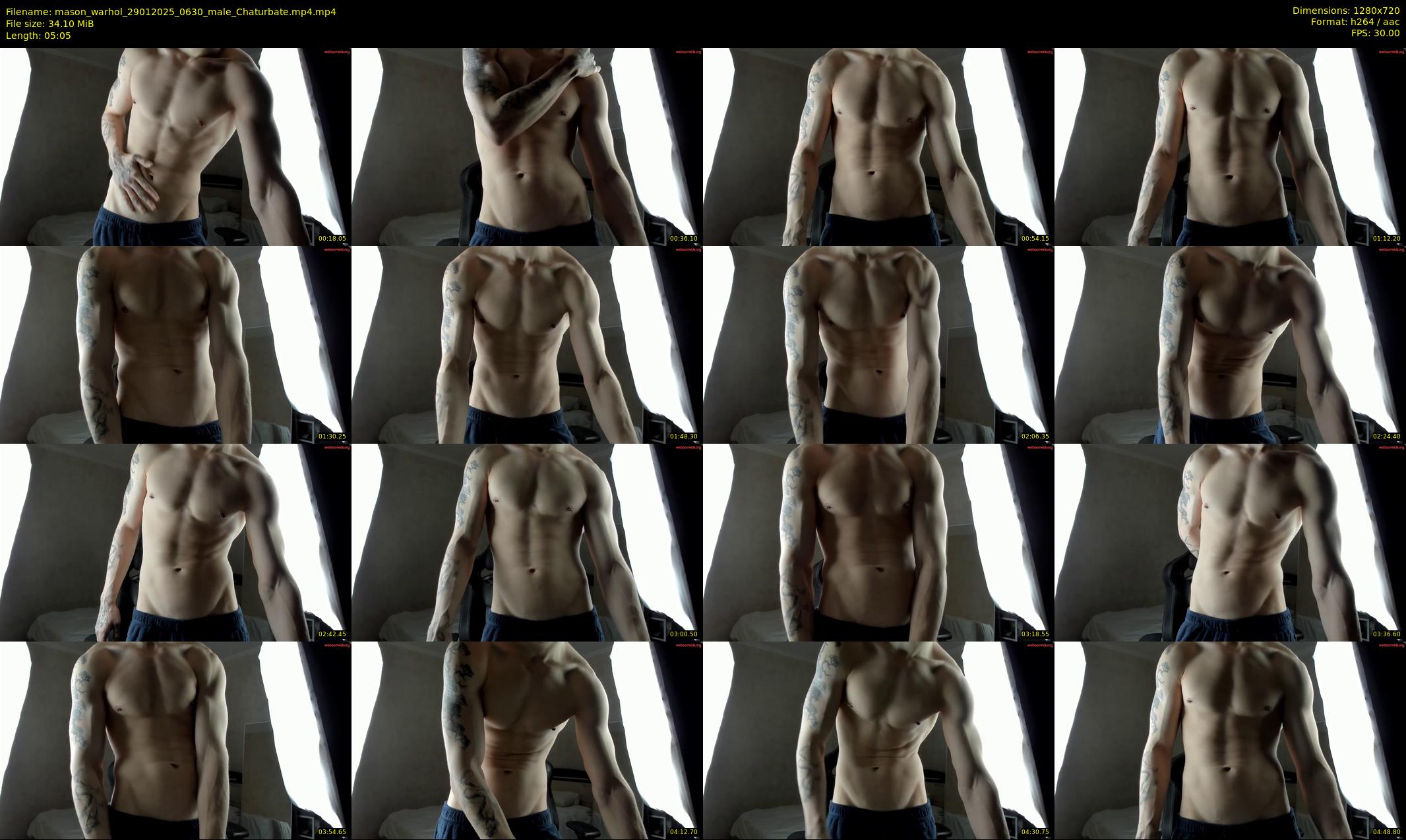 mason_warhol — 6 minute Chaturbate male cam show recording, 720p, Jan 29, 2025
