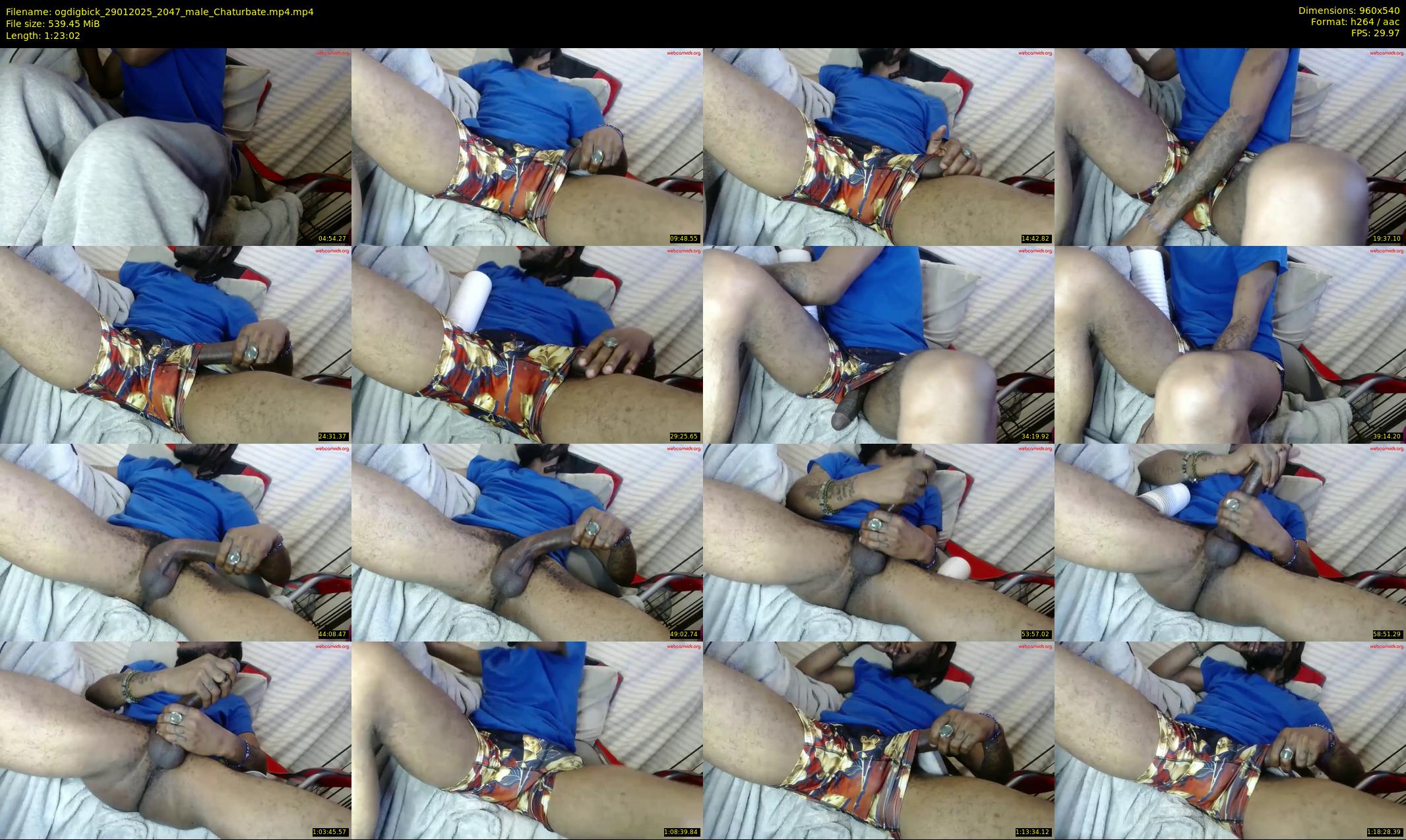 ogdigbick — 84 minute Chaturbate male cam show recording, 480p, Jan 29, 2025