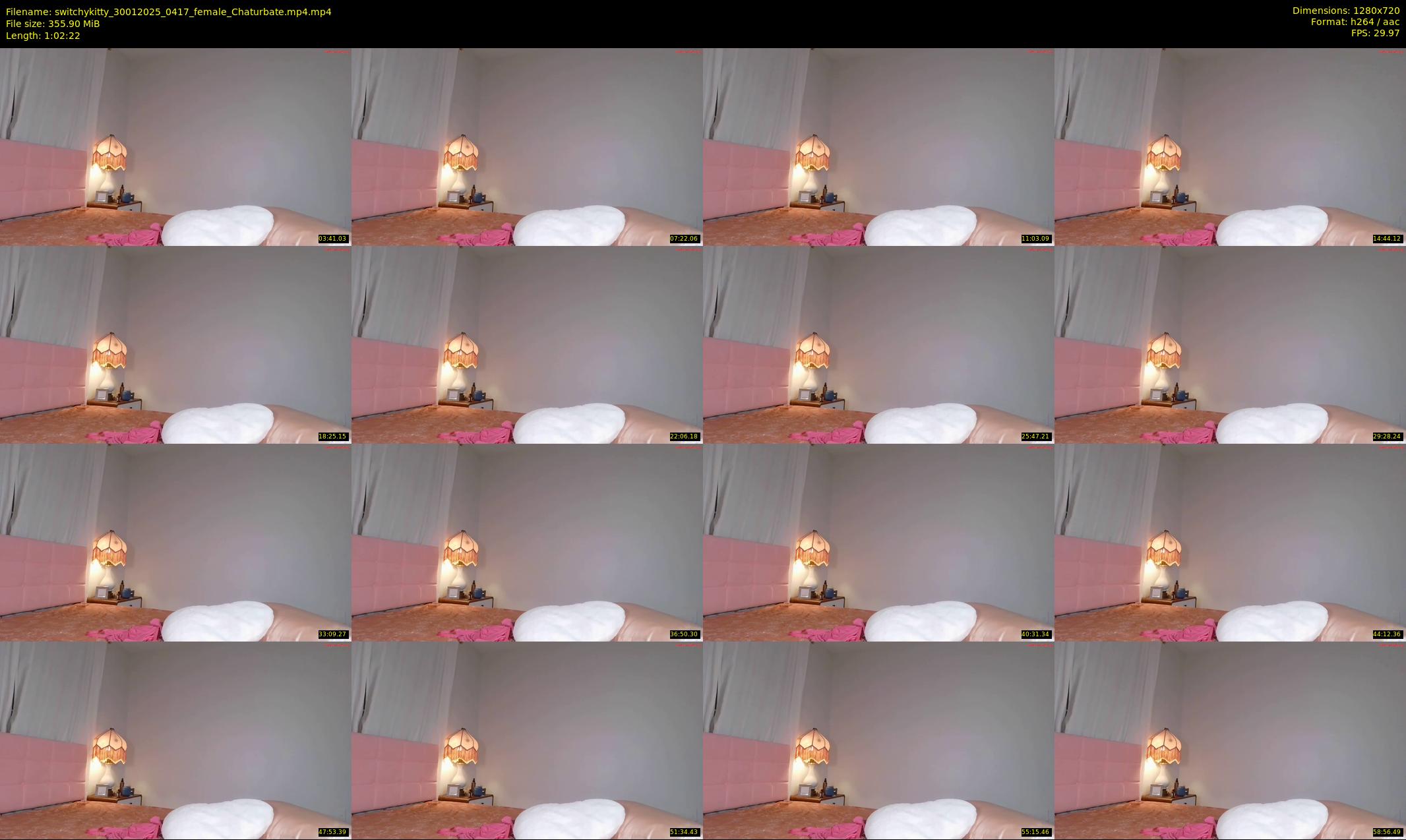 switchykitty — 63 minute Chaturbate female cam show recording, 720p, Jan 30, 2025