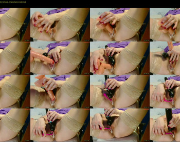 wildpersia — 14 minute Chaturbate female cam show recording, 480p, Jan 29, 2025