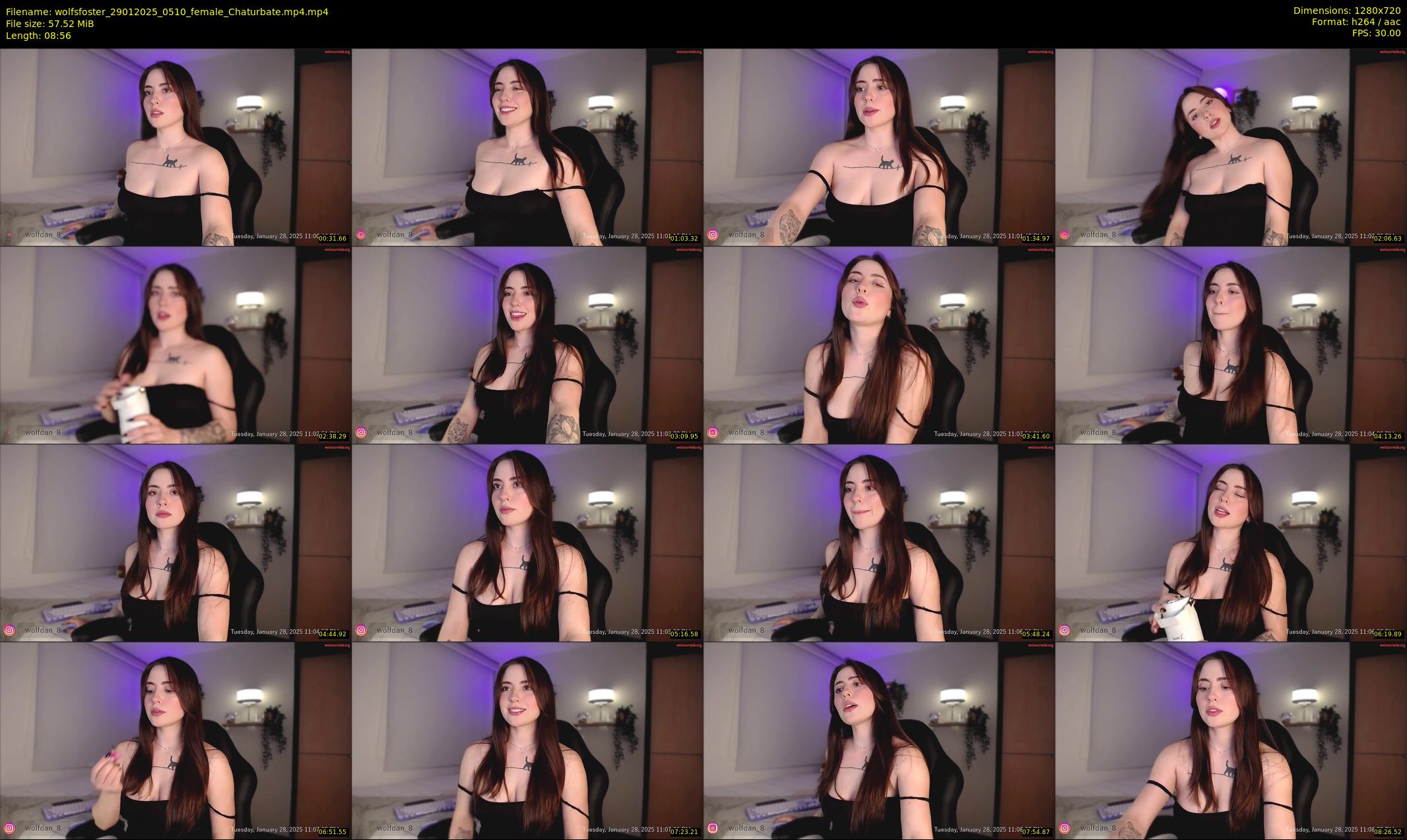 wolfsfoster — 9 minute Chaturbate couple cam show recording, 720p, Jan 29, 2025