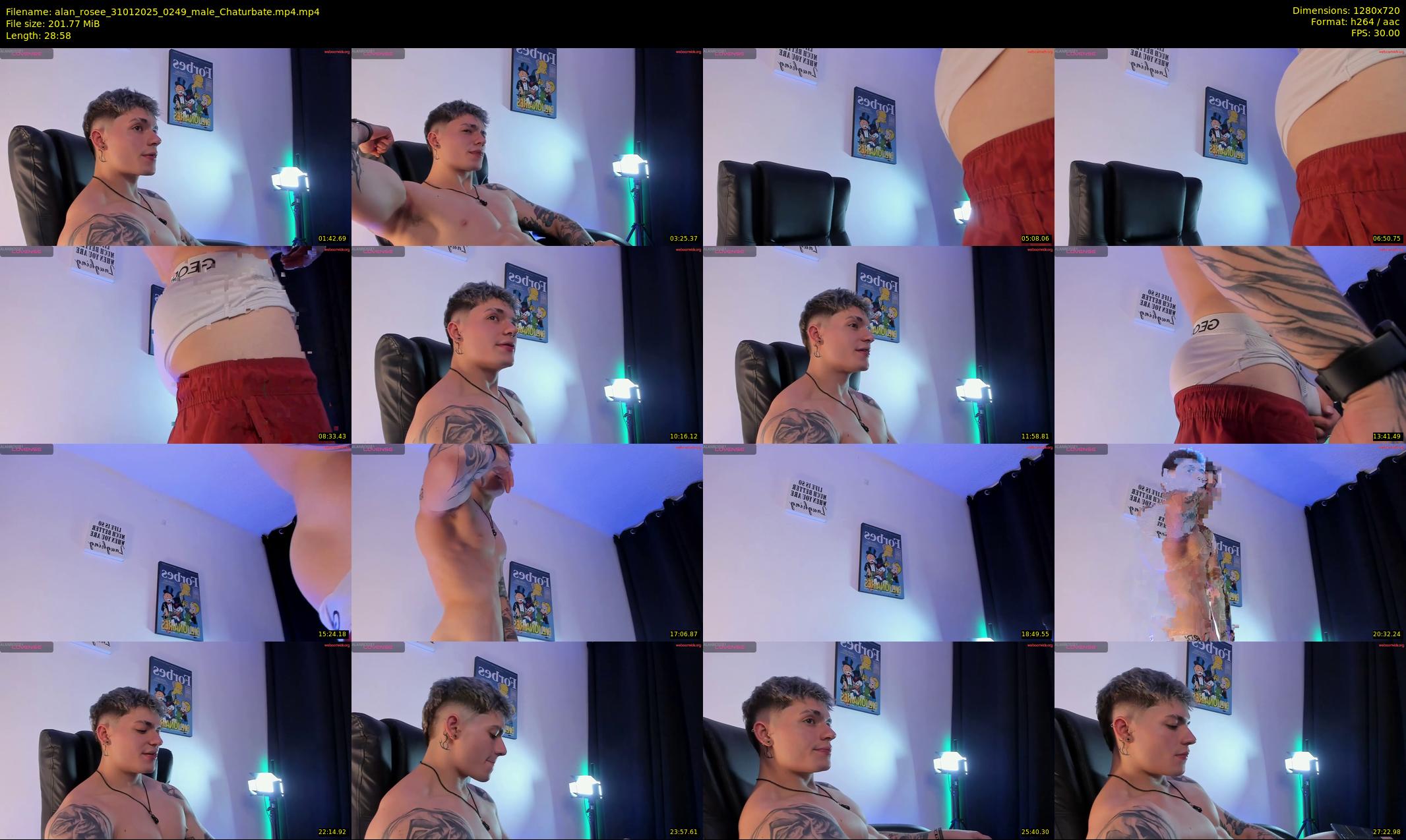 alan_rosee — 29 minute Chaturbate male cam show recording, 720p, Jan 31, 2025