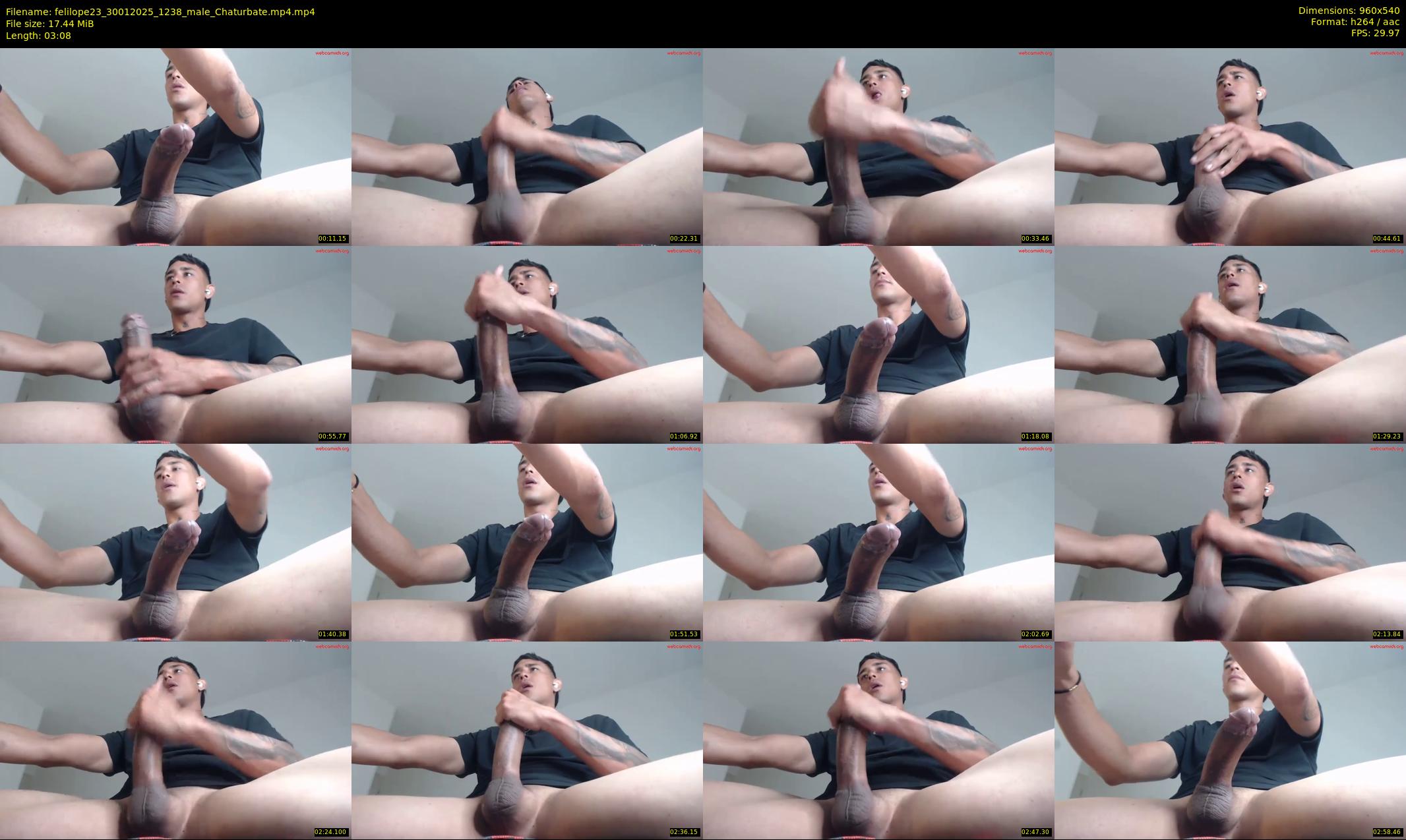 felilope23 — 4 minute Chaturbate male cam show recording, 480p, Jan 30, 2025
