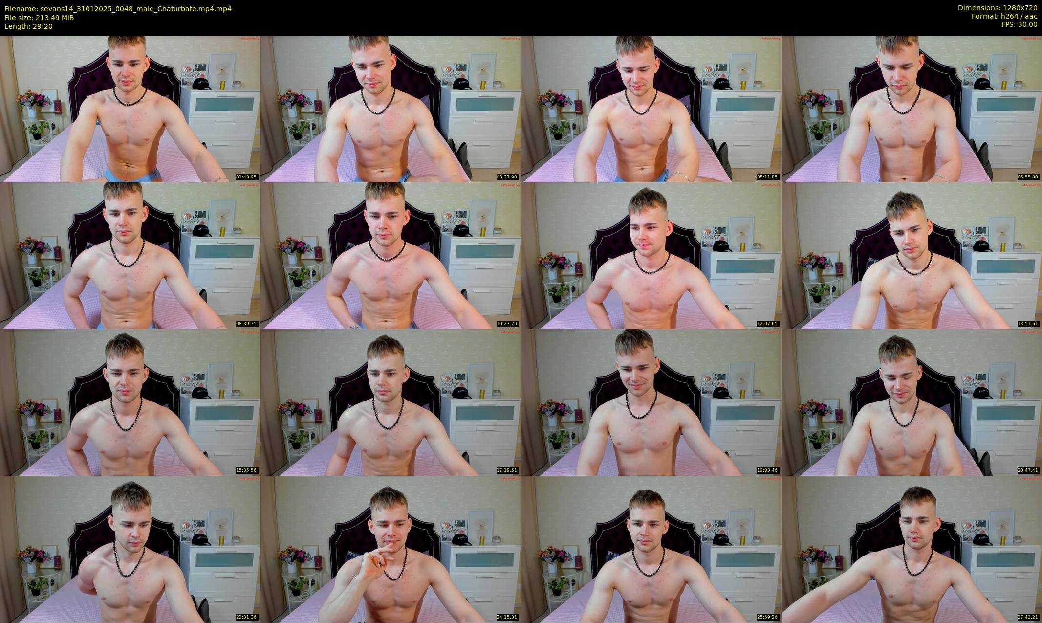 sevans14 — 30 minute Chaturbate male cam show recording, 720p, Jan 31, 2025