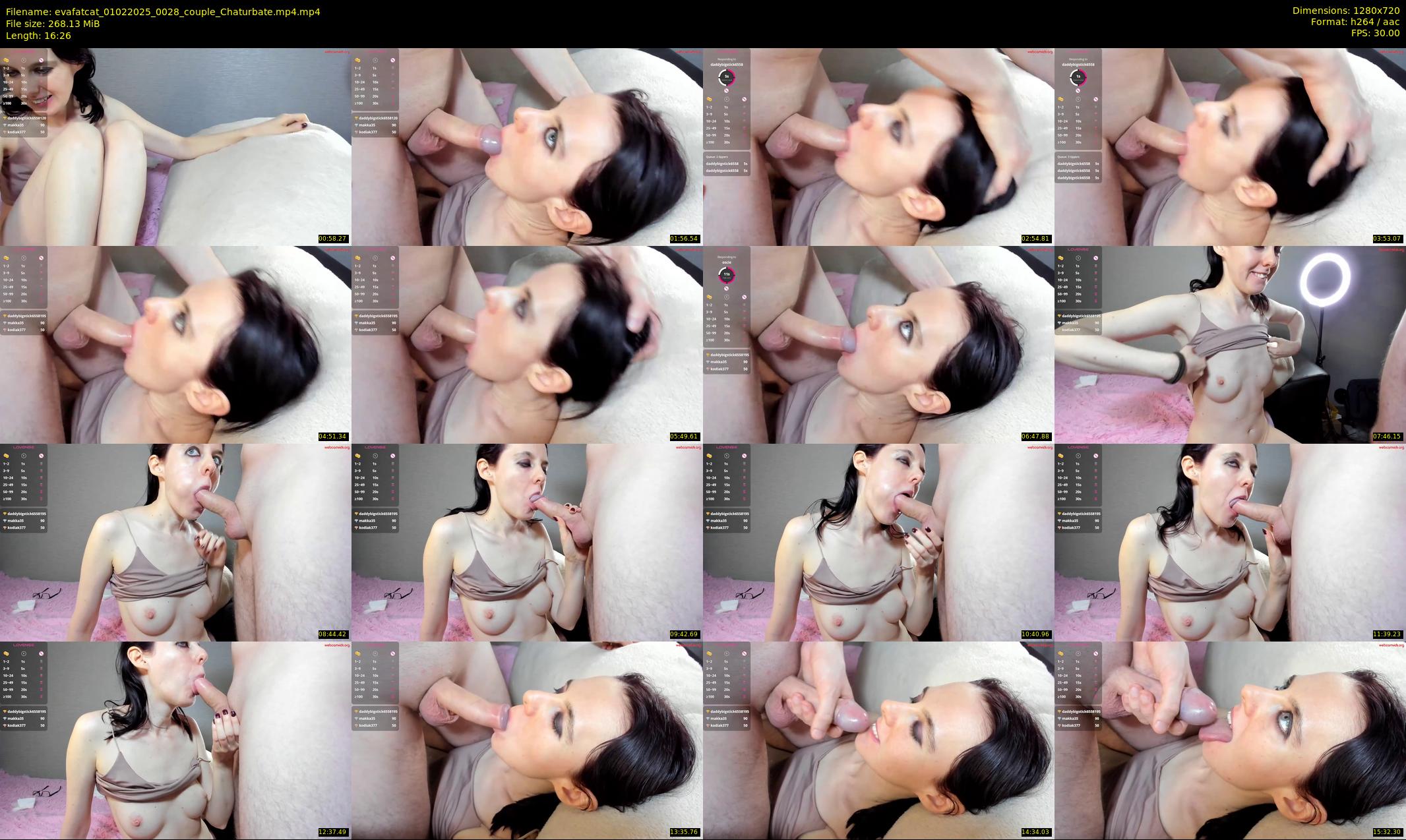 evafatcat — 17 minute Chaturbate couple cam show recording, 720p, Feb 1, 2025