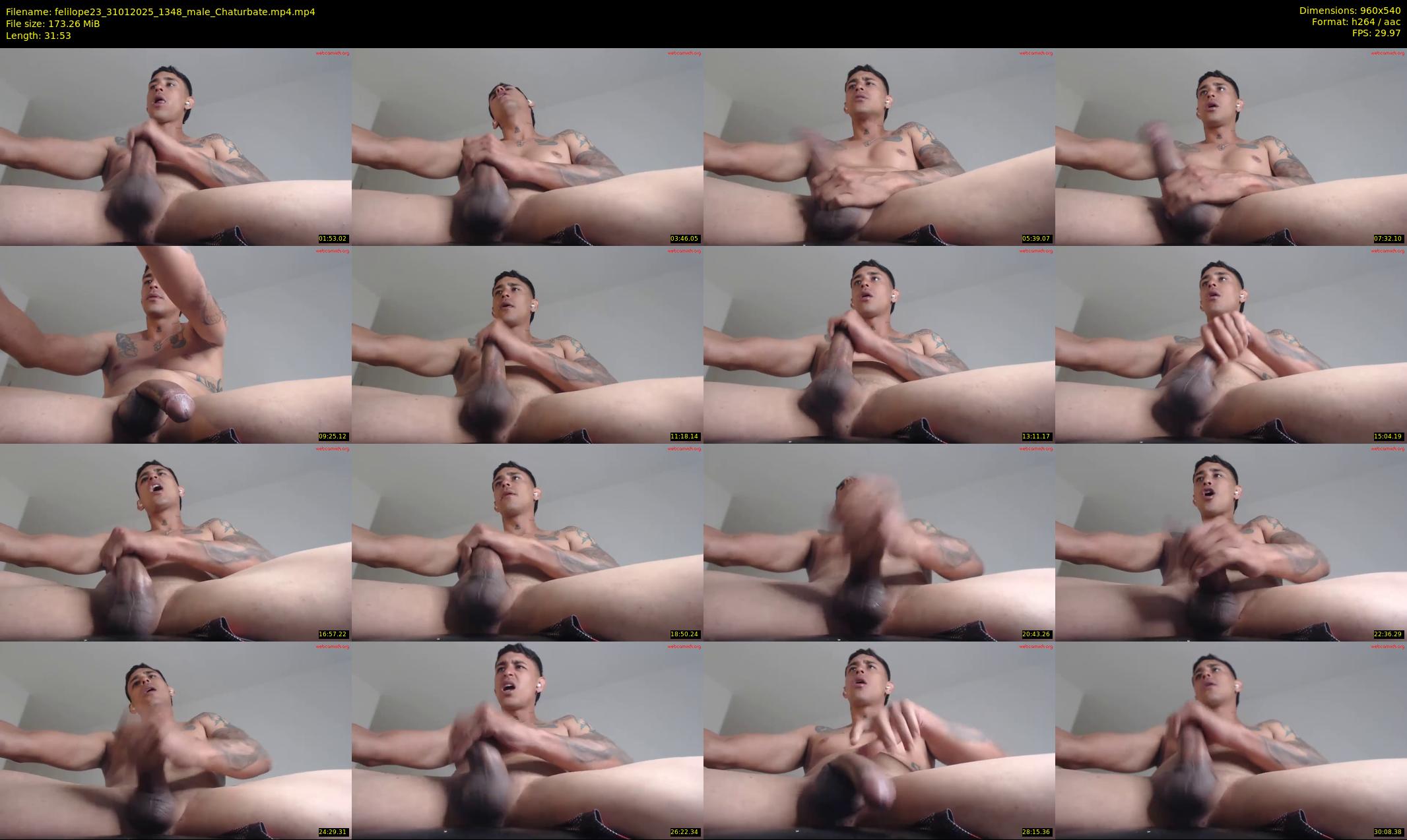 felilope23 — 32 minute Chaturbate male cam show recording, 480p, Jan 31, 2025