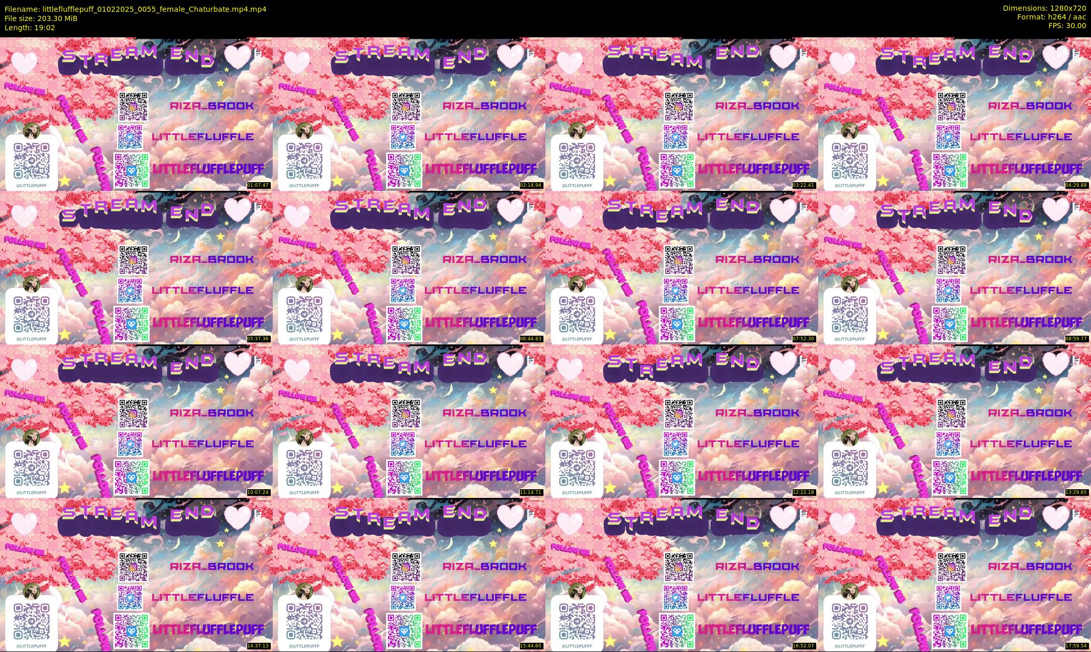 littleflufflepuff — 20 minute Chaturbate female cam show recording, 720p, Feb 1, 2025