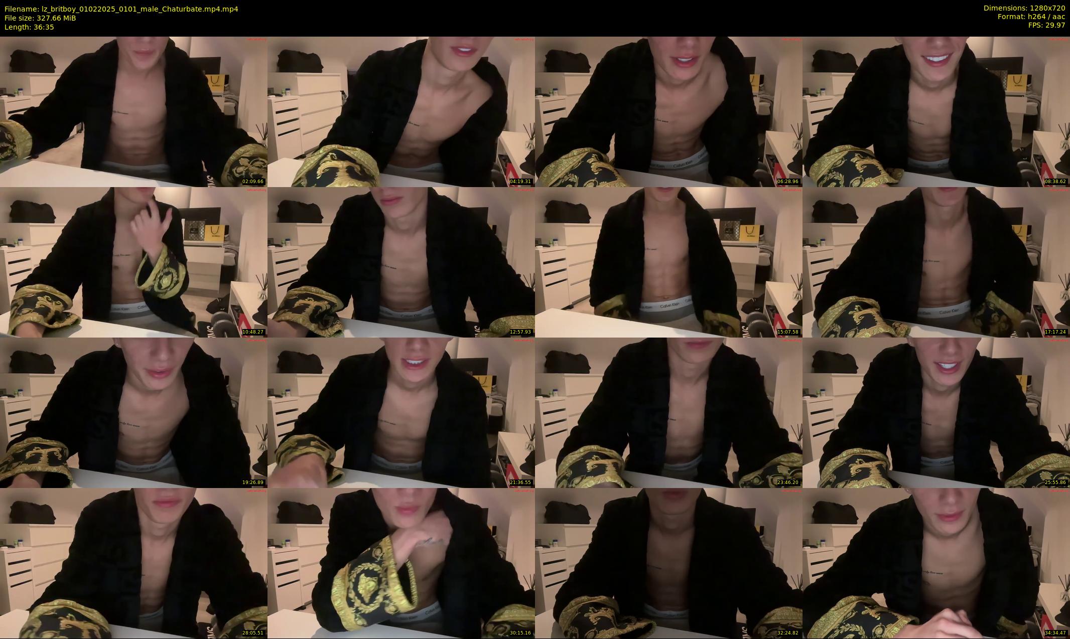 lz_britboy — 37 minute Chaturbate male cam show recording, 720p, Feb 1, 2025