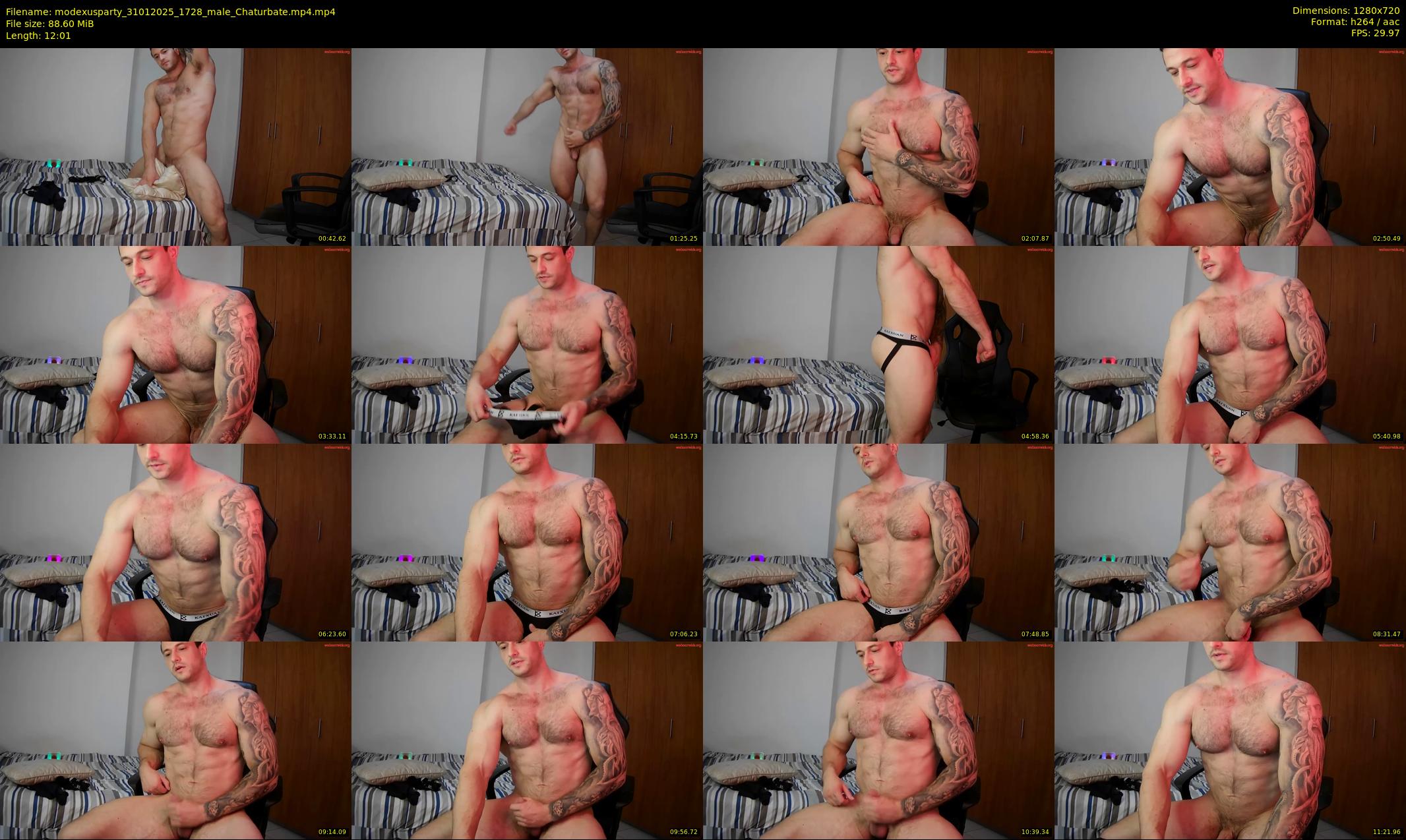 modexusparty — 13 minute Chaturbate male cam show recording, 720p, Jan 31, 2025