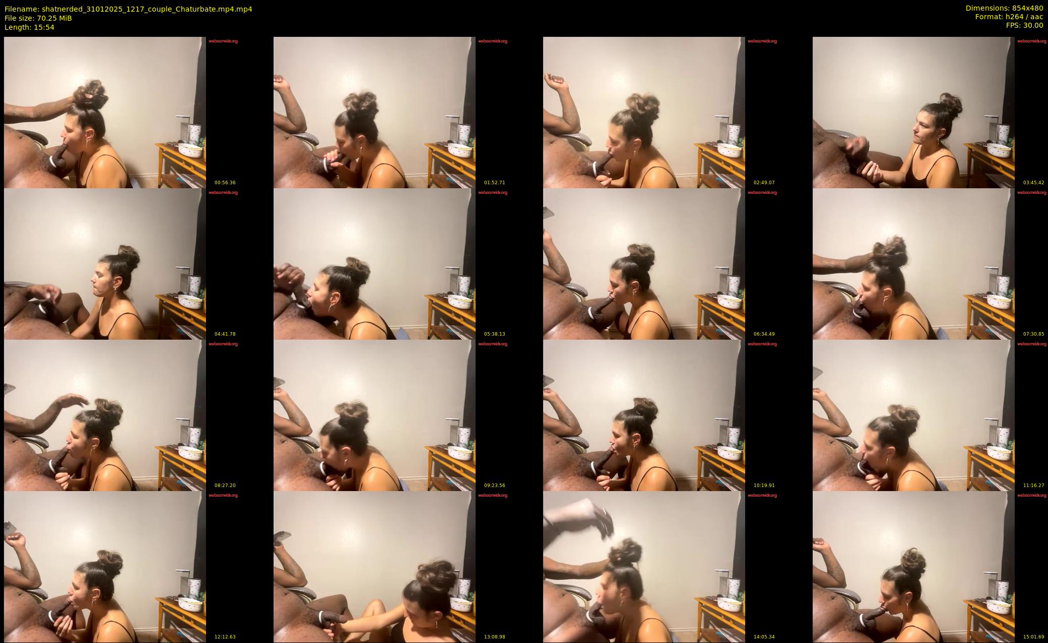 shatnerded — 16 minute Chaturbate couple cam show recording, 480p, Jan 31, 2025