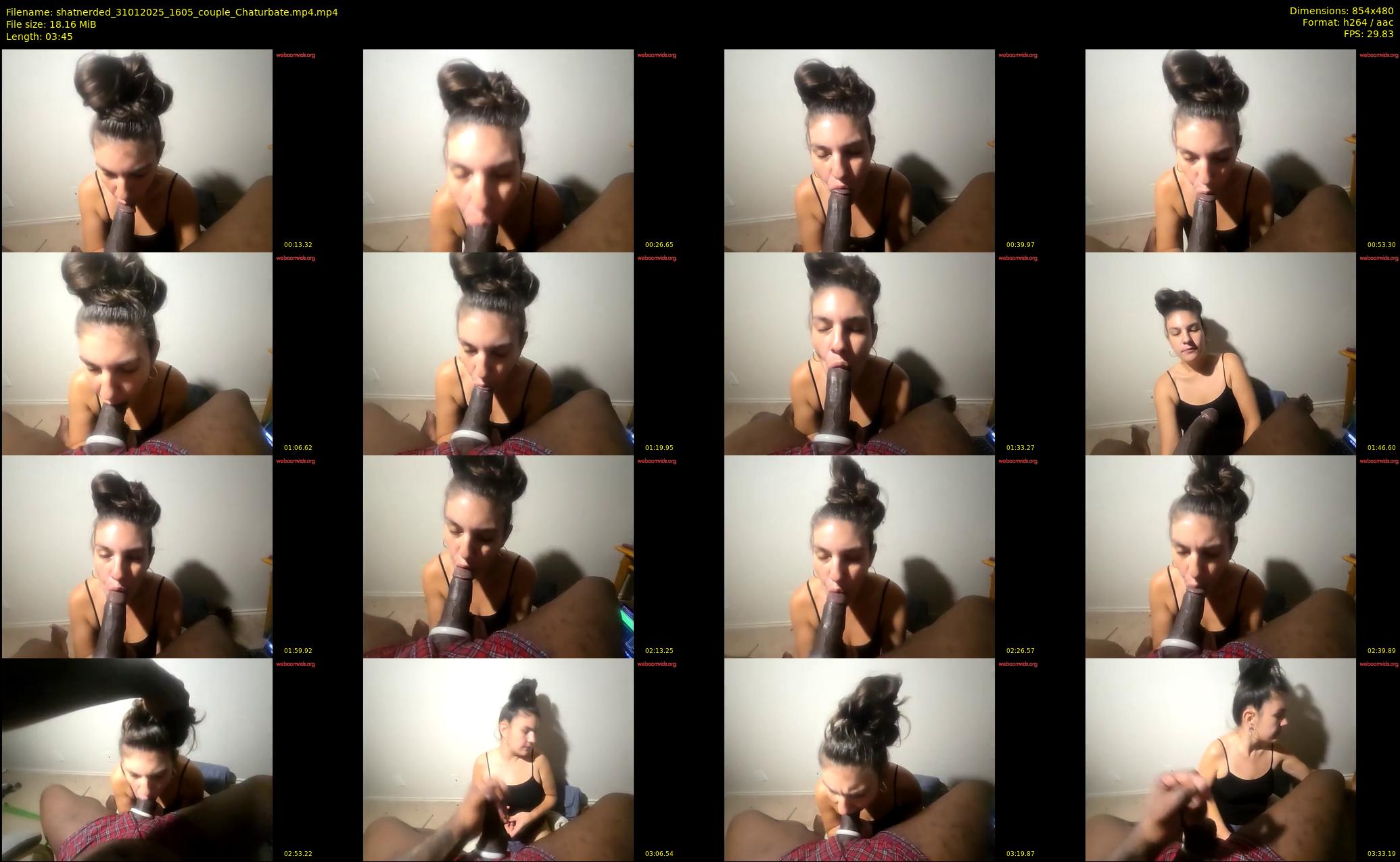shatnerded — 4 minute Chaturbate couple cam show recording, 480p, Jan 31, 2025