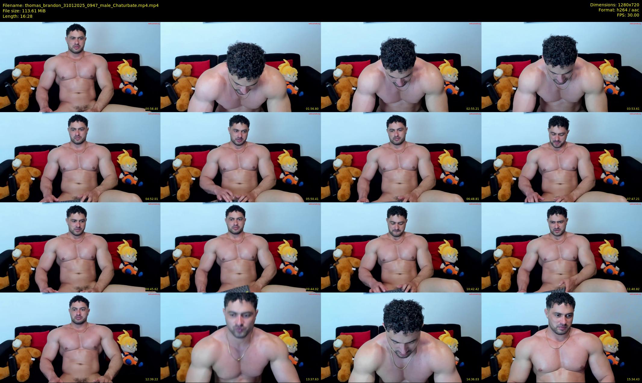 thomas_brandon — 17 minute Chaturbate male cam show recording, 720p, Jan 31, 2025