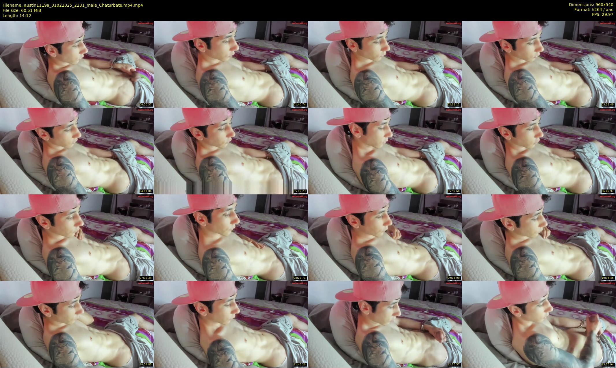 austin1119a — 15 minute Chaturbate male cam show recording, 480p, Feb 1, 2025