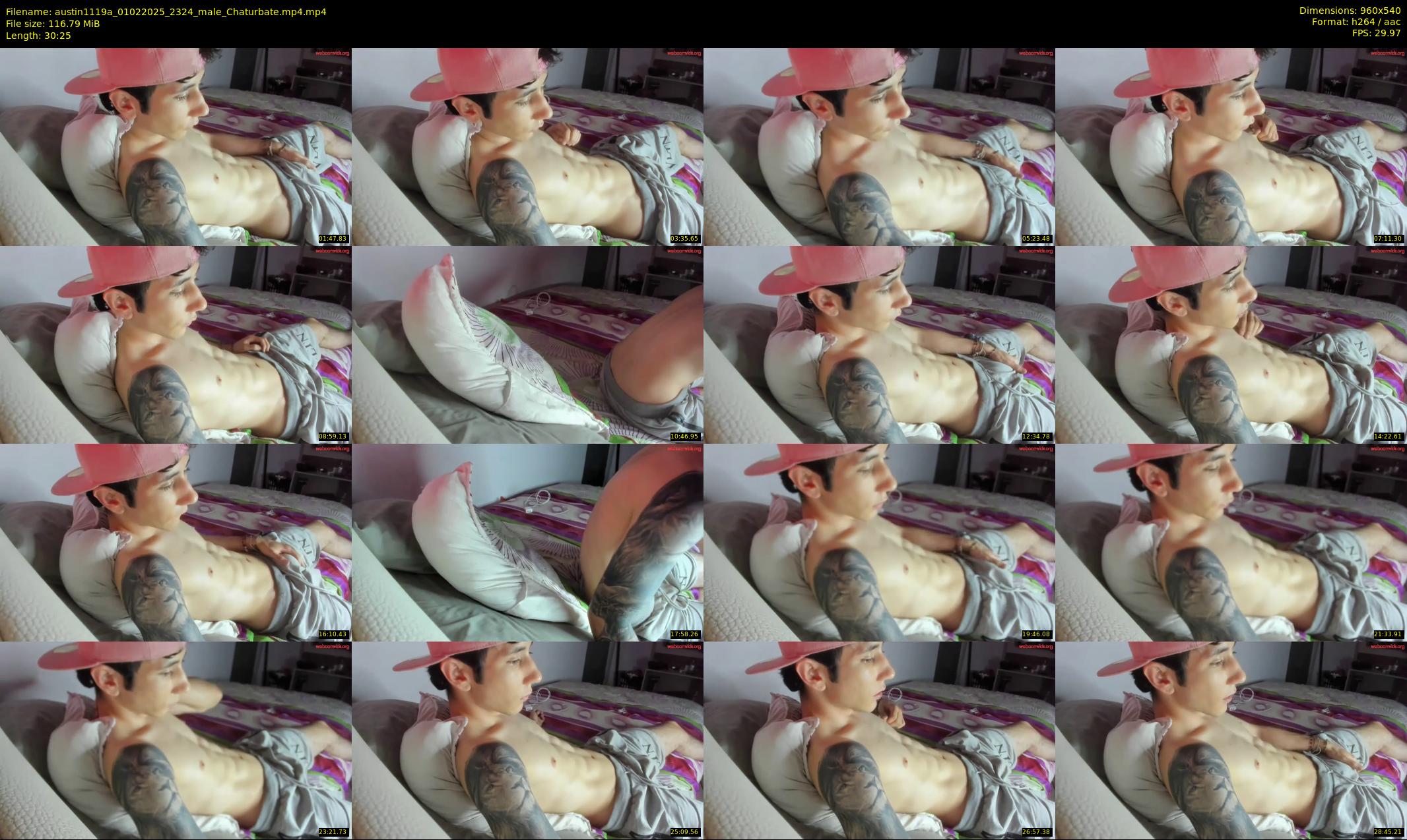 austin1119a — 31 minute Chaturbate male cam show recording, 480p, Feb 1, 2025