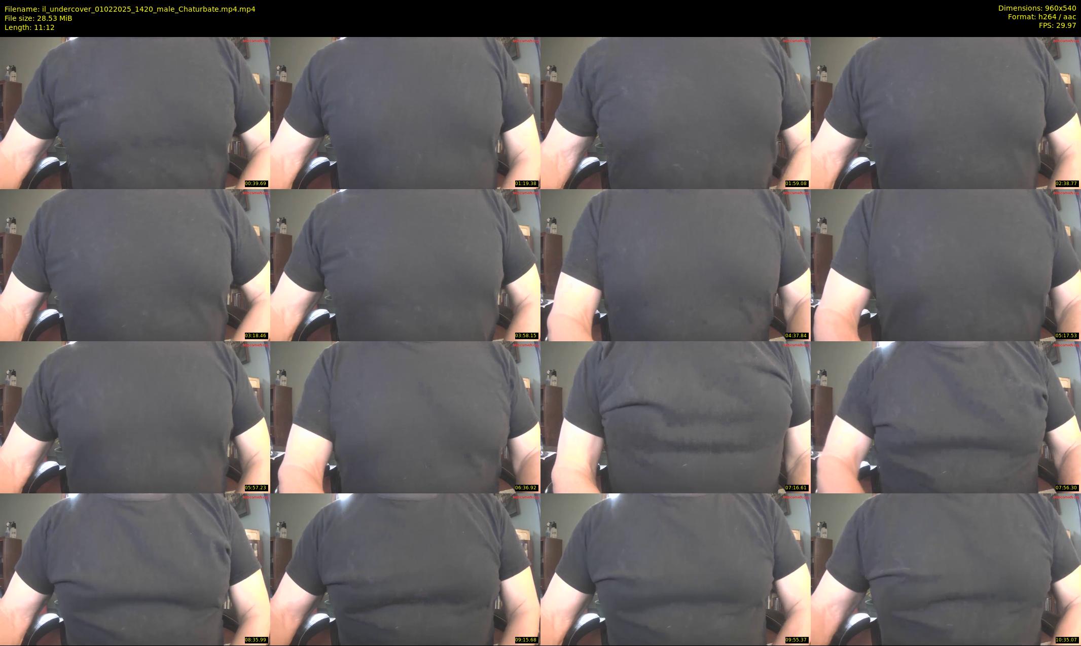 il_undercover — 12 minute Chaturbate male cam show recording, 480p, Feb 1, 2025