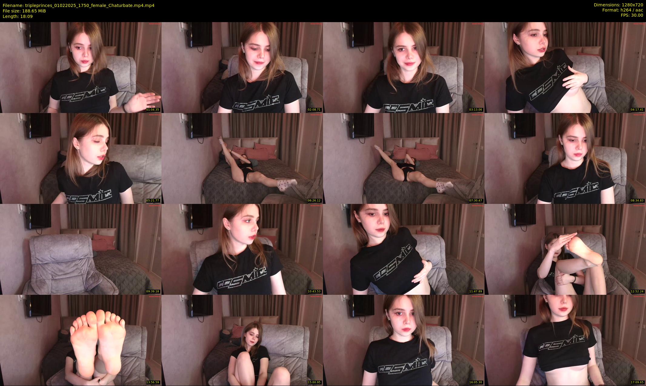 tripleprinces — 19 minute Chaturbate female cam show recording, 720p, Feb 1, 2025