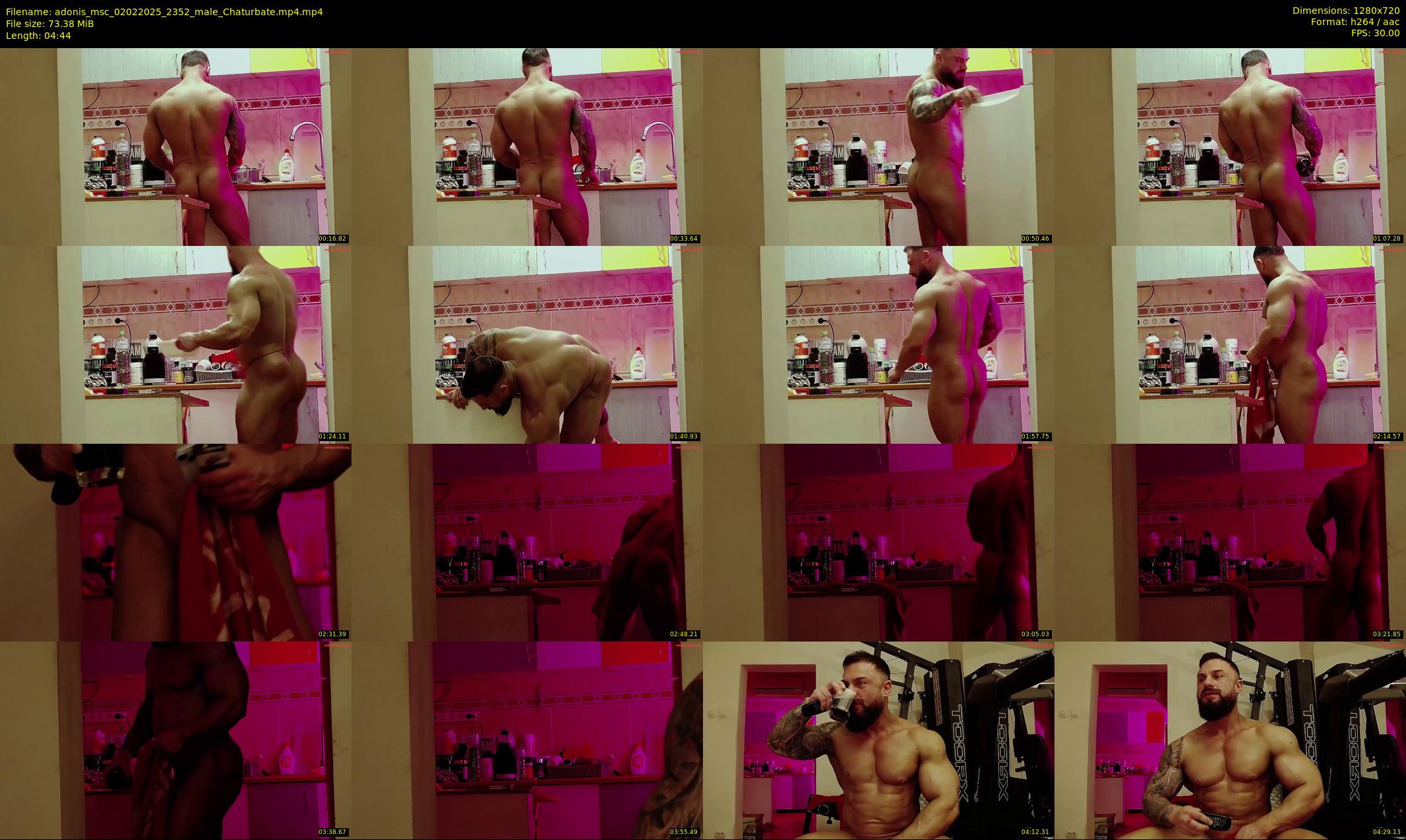 adonis_msc — 5 minute Chaturbate male cam show recording, 720p, Feb 2, 2025