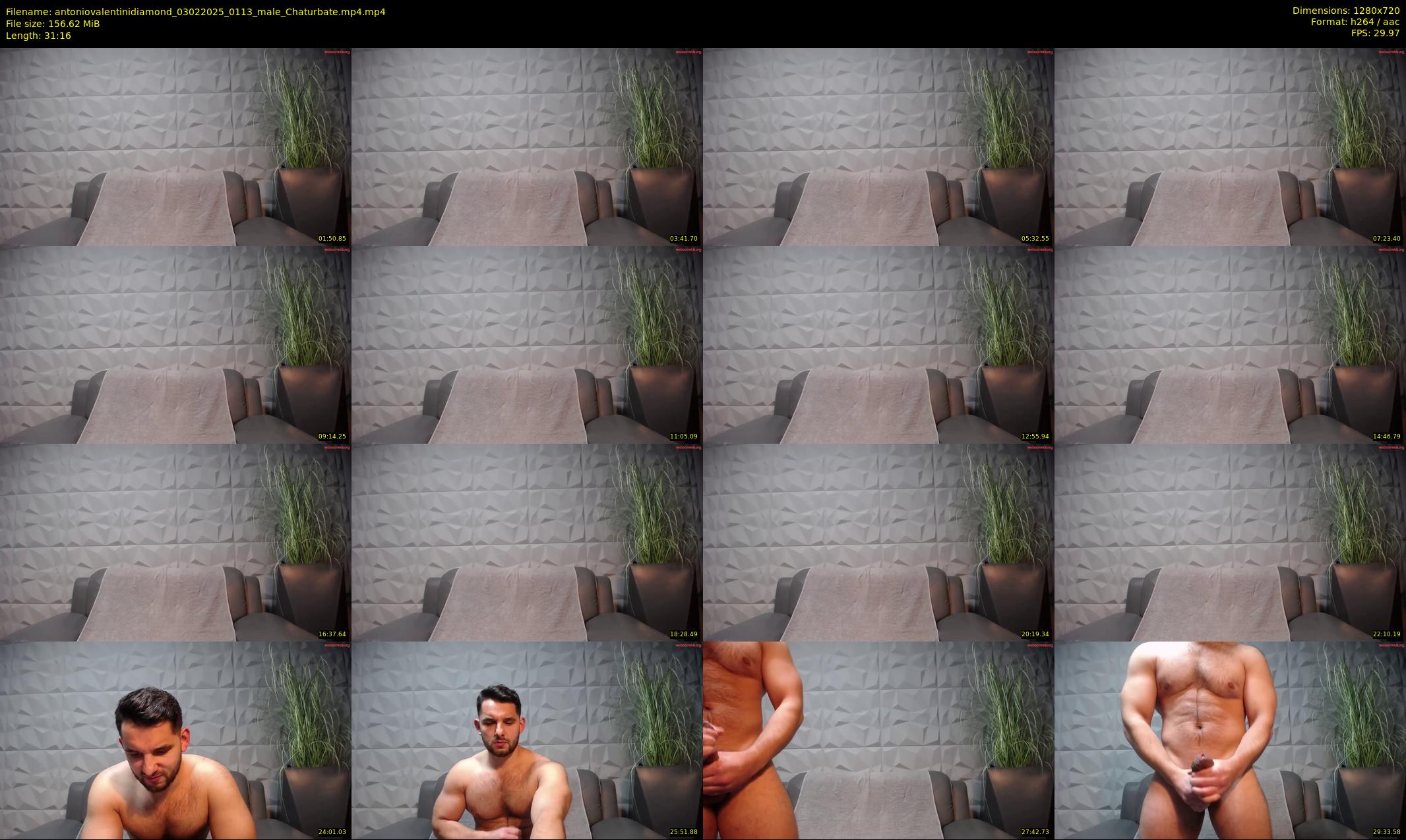antoniovalentinidiamond — 32 minute Chaturbate male cam show recording, 720p, Feb 3, 2025