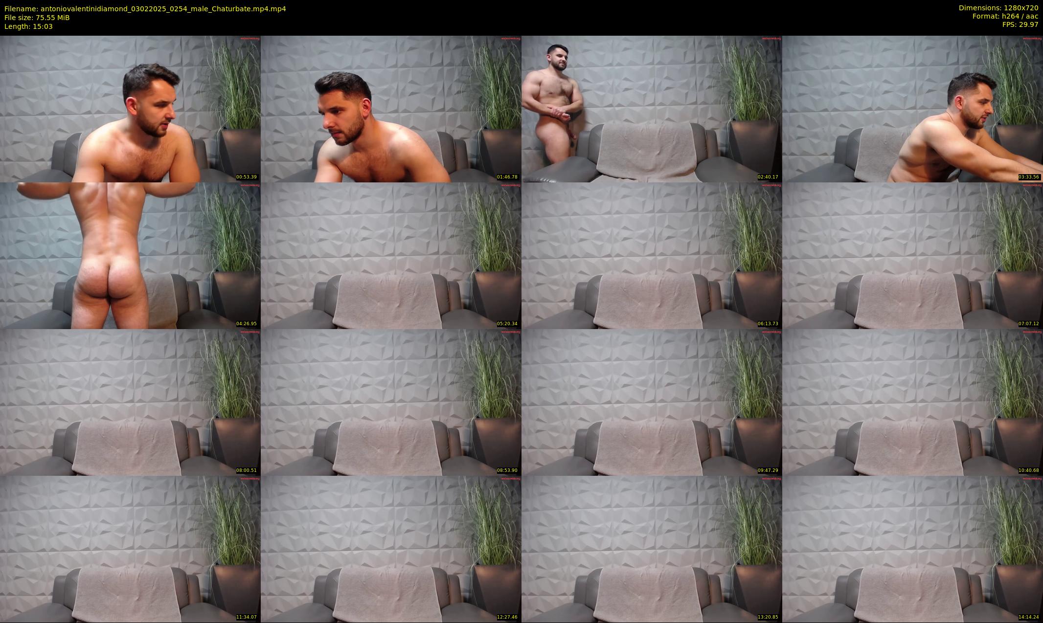 antoniovalentinidiamond — 16 minute Chaturbate male cam show recording, 720p, Feb 3, 2025