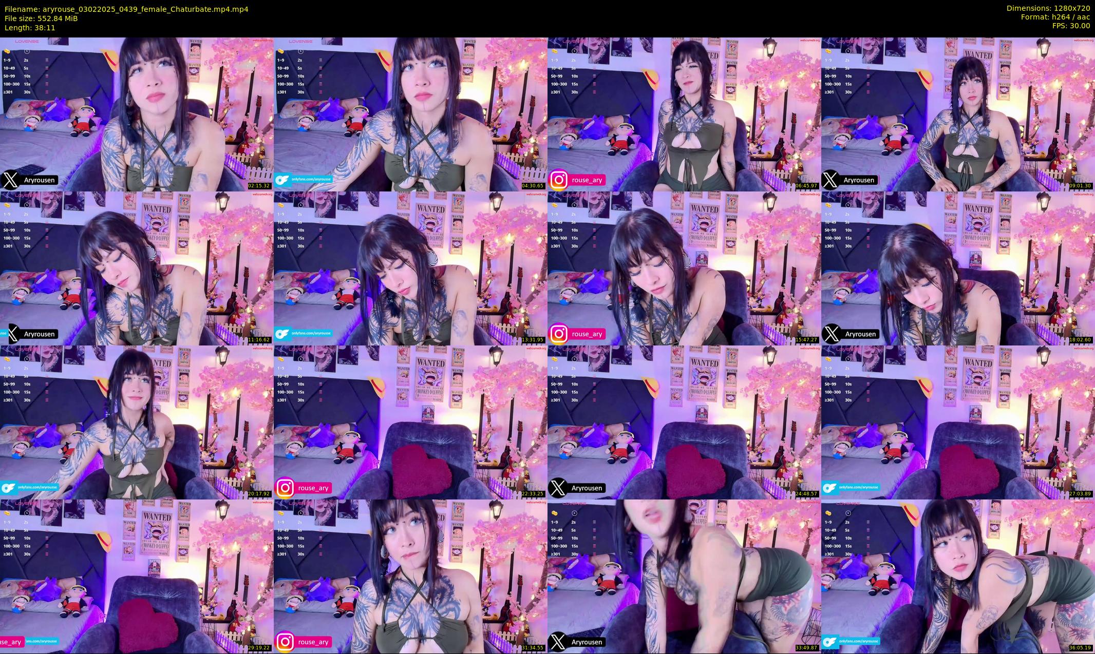 aryrouse — 39 minute Chaturbate female cam show recording, 720p, Feb 3, 2025