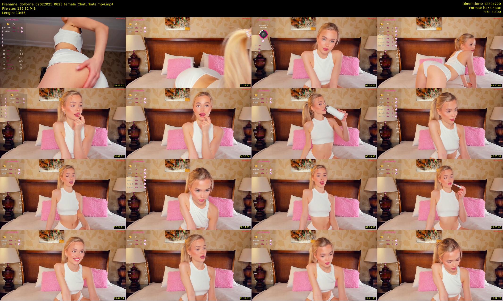 dollorrie — 14 minute Chaturbate couple cam show recording, 720p, Feb 2, 2025