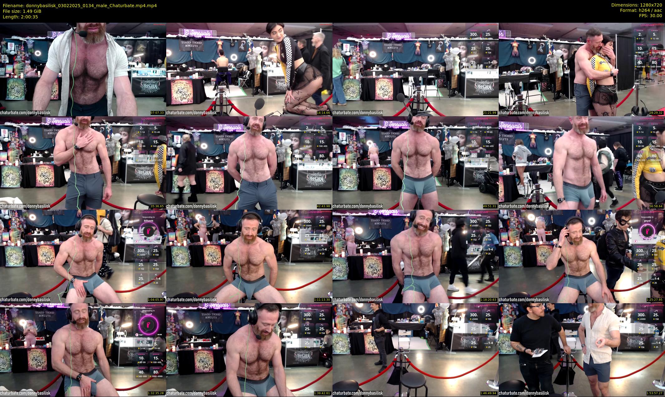 donnybasilisk — 121 minute Chaturbate male cam show recording, 720p, Feb 3, 2025