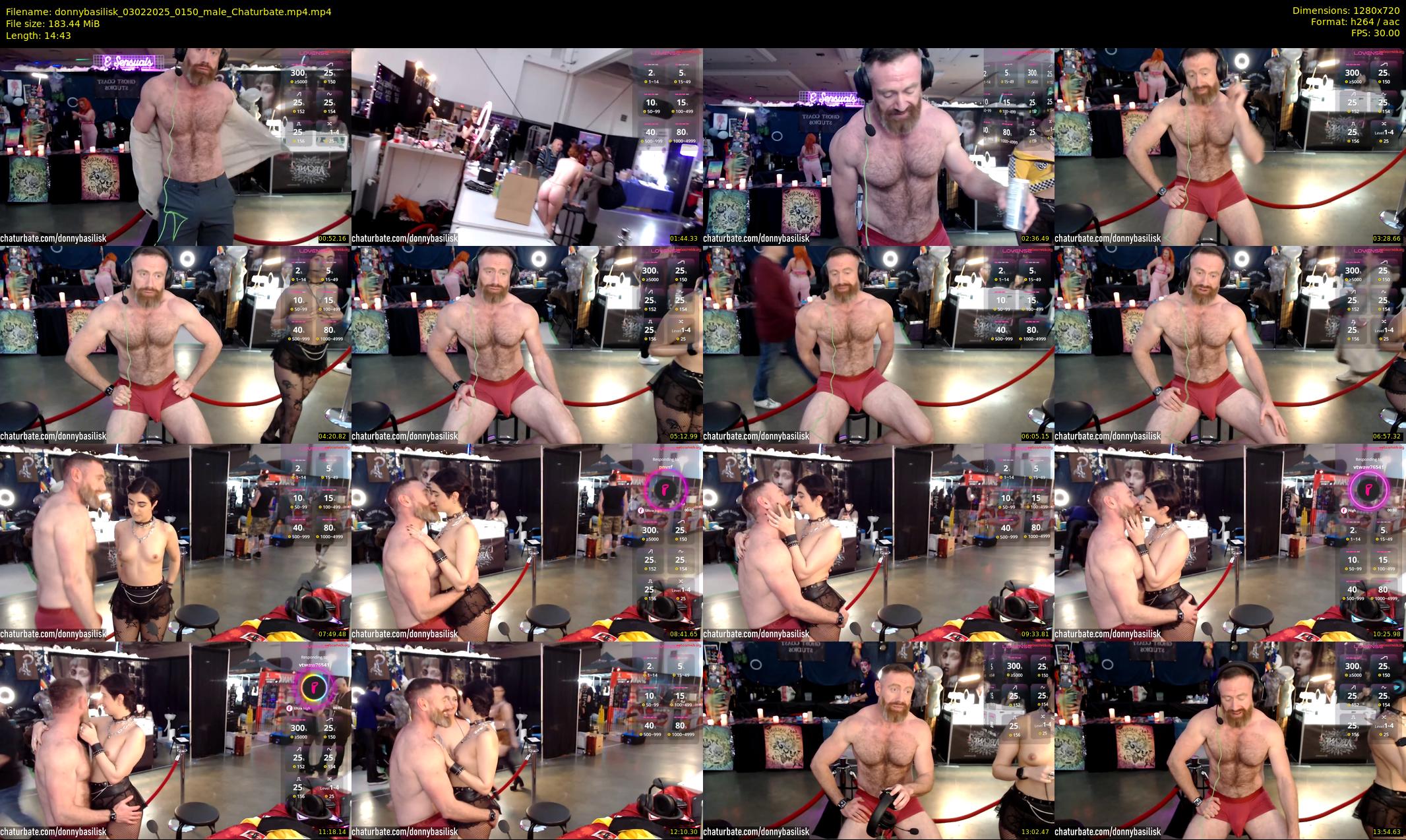donnybasilisk — 15 minute Chaturbate male cam show recording, 720p, Feb 3, 2025