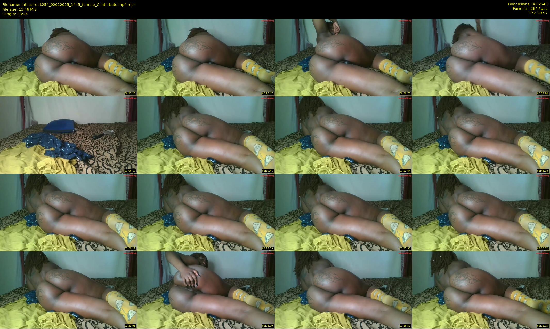 fatassfreak254 — 4 minute Chaturbate female cam show recording, 480p, Feb 2, 2025