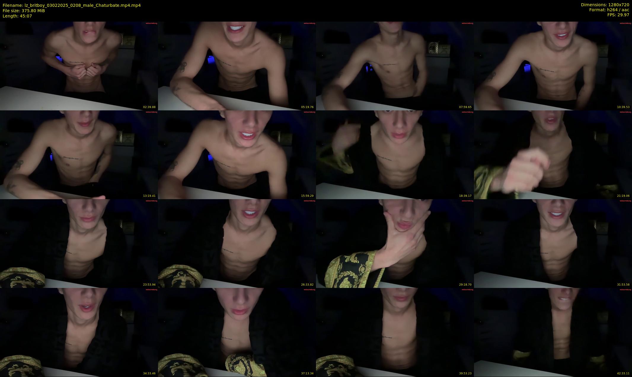 lz_britboy — 46 minute Chaturbate male cam show recording, 720p, Feb 3, 2025