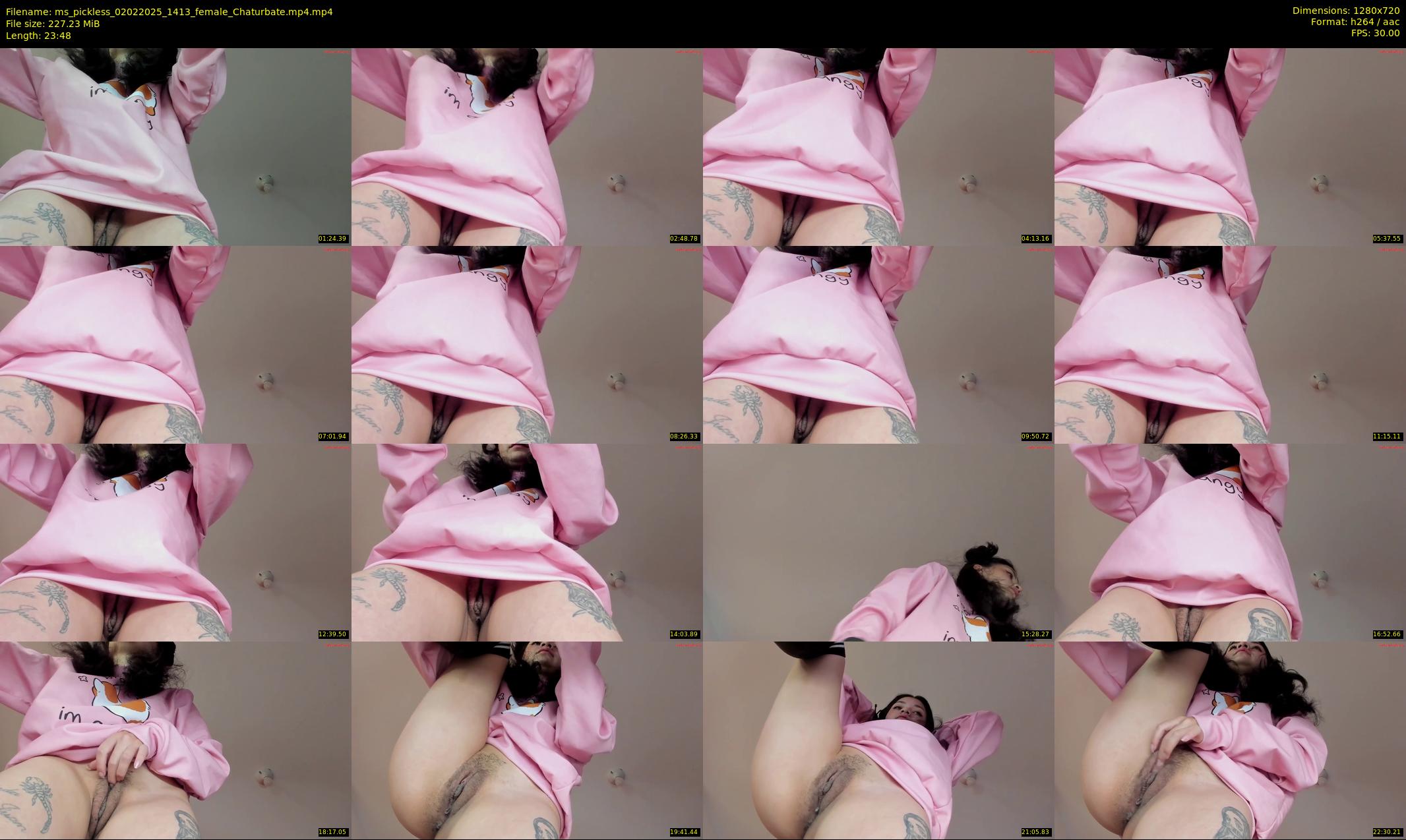 ms_pickless — 24 minute Chaturbate female cam show recording, 720p, Feb 2, 2025