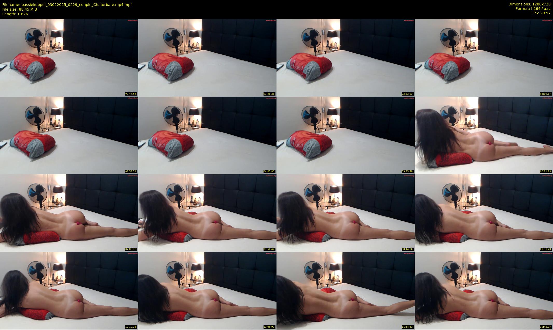 passiekoppel — 14 minute Chaturbate couple cam show recording, 720p, Feb 3, 2025
