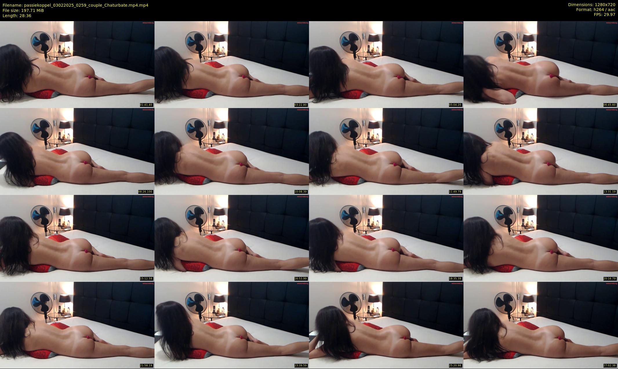 passiekoppel — 29 minute Chaturbate couple cam show recording, 720p, Feb 3, 2025
