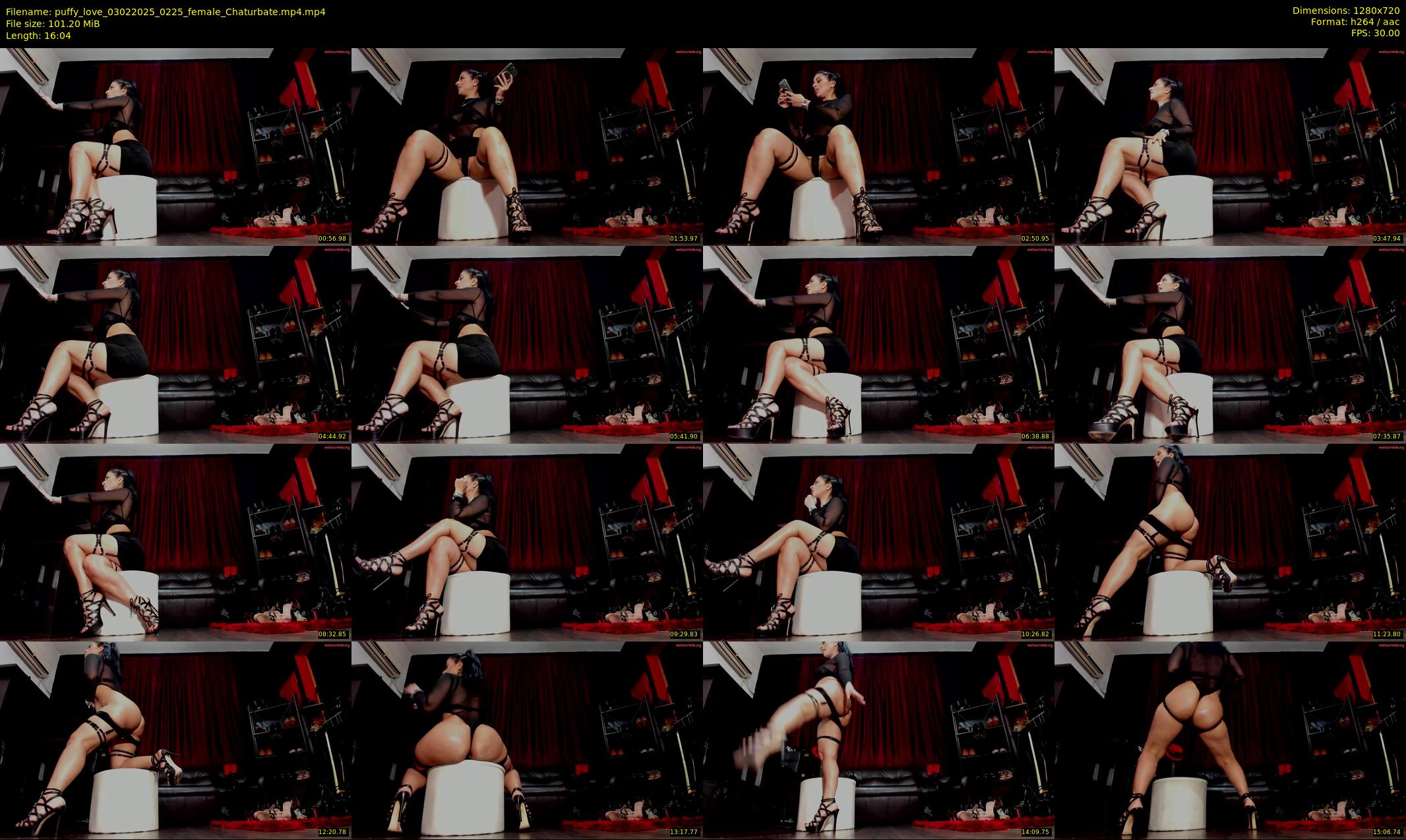 puffy_love — 17 minute Chaturbate female cam show recording, 720p, Feb 3, 2025