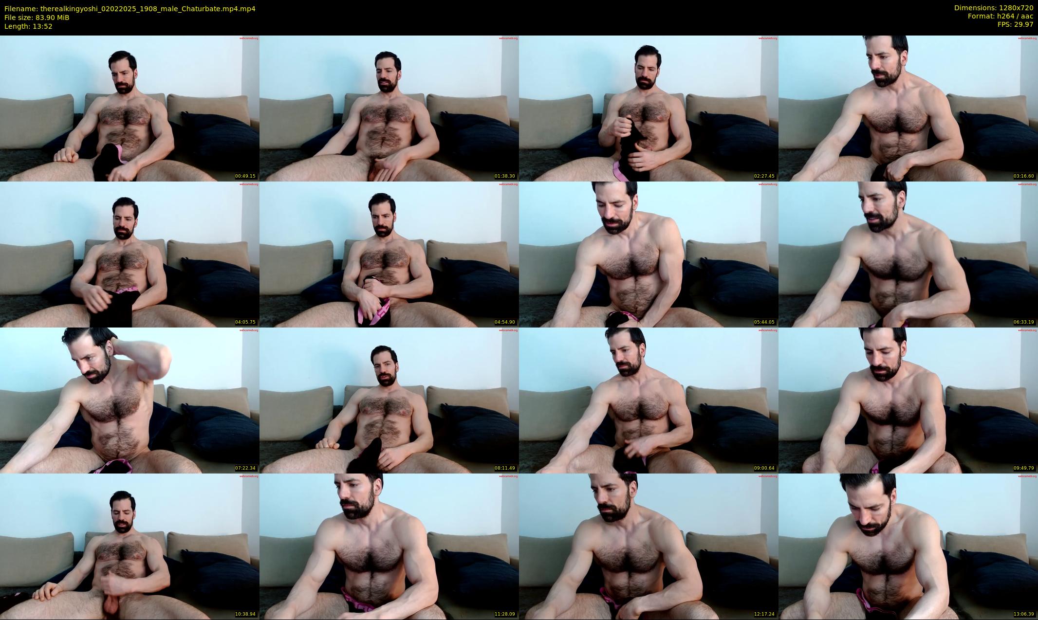 therealkingyoshi — 14 minute Chaturbate male cam show recording, 720p, Feb 2, 2025