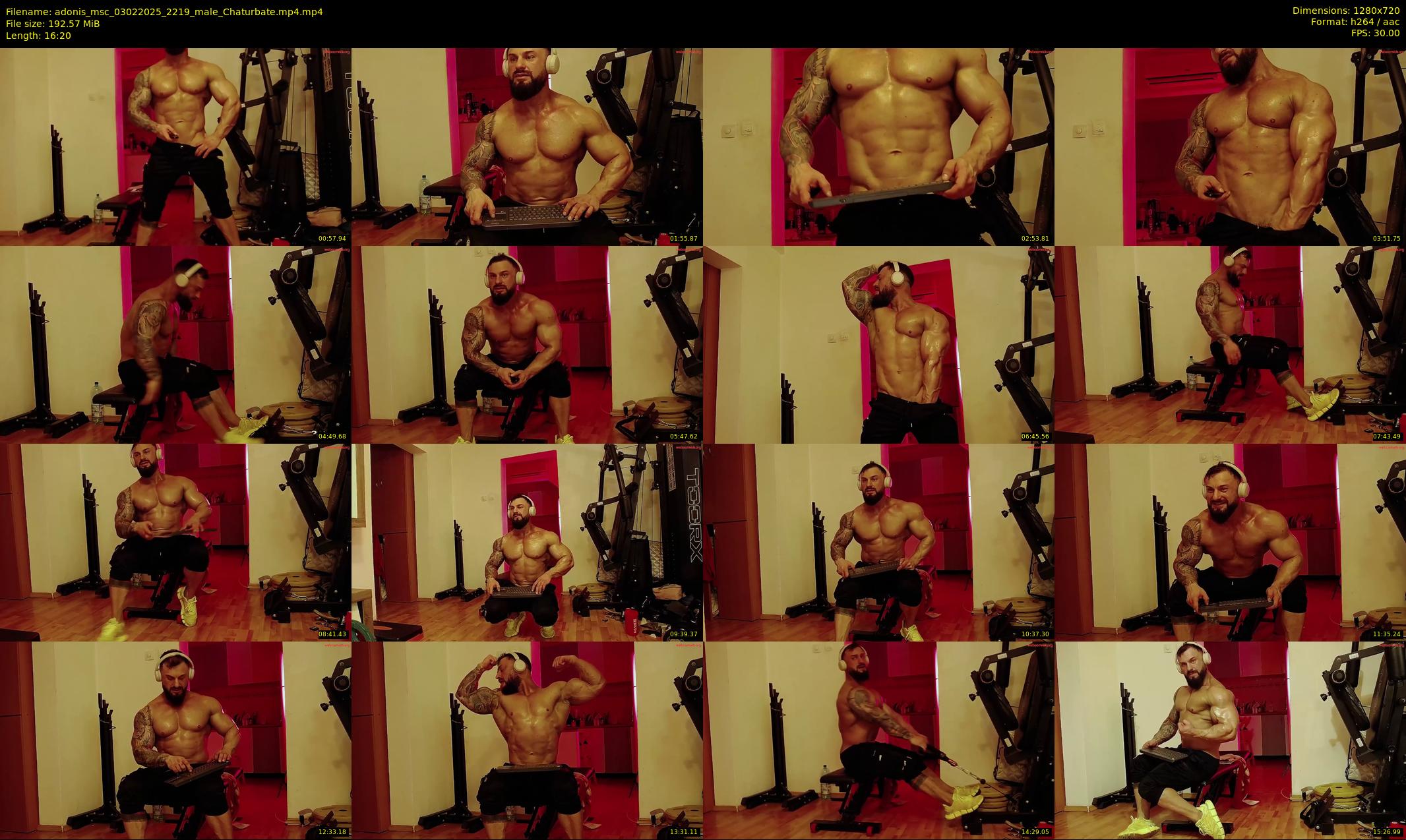 adonis_msc — 17 minute Chaturbate male cam show recording, 720p, Feb 3, 2025