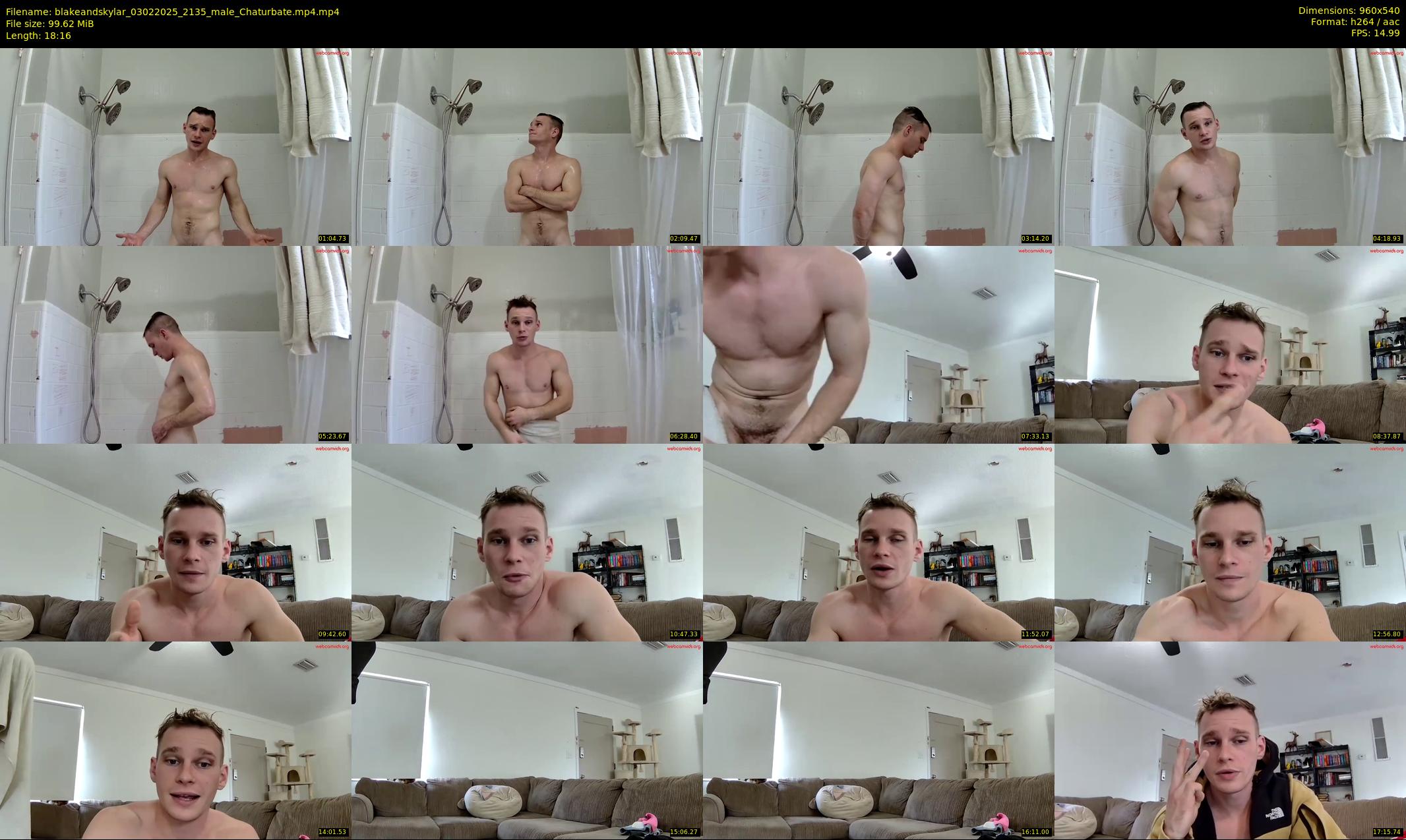 blakeandskylar — 19 minute Chaturbate couple cam show recording, 480p, Feb 3, 2025